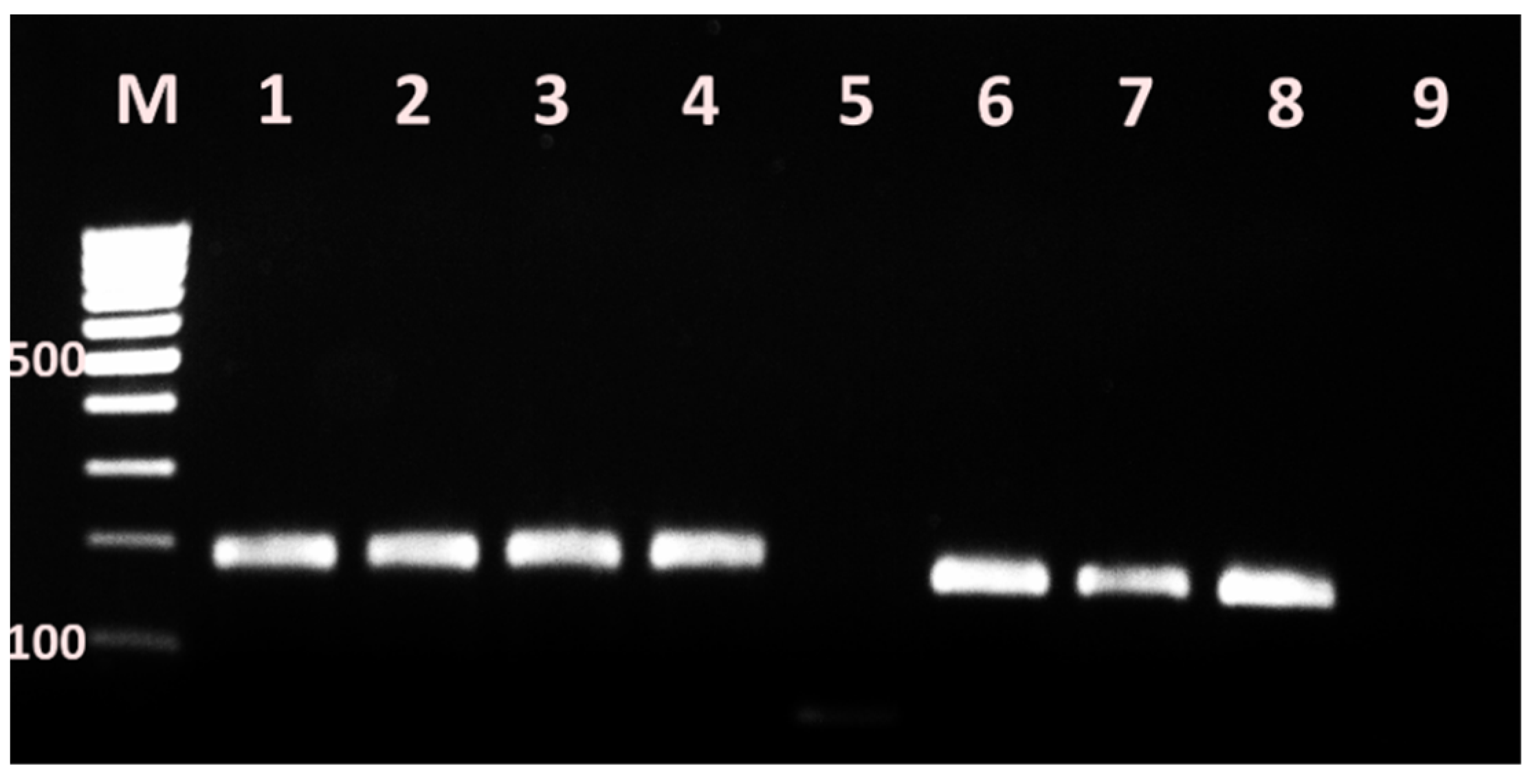 Vetsci 09 00401 g004