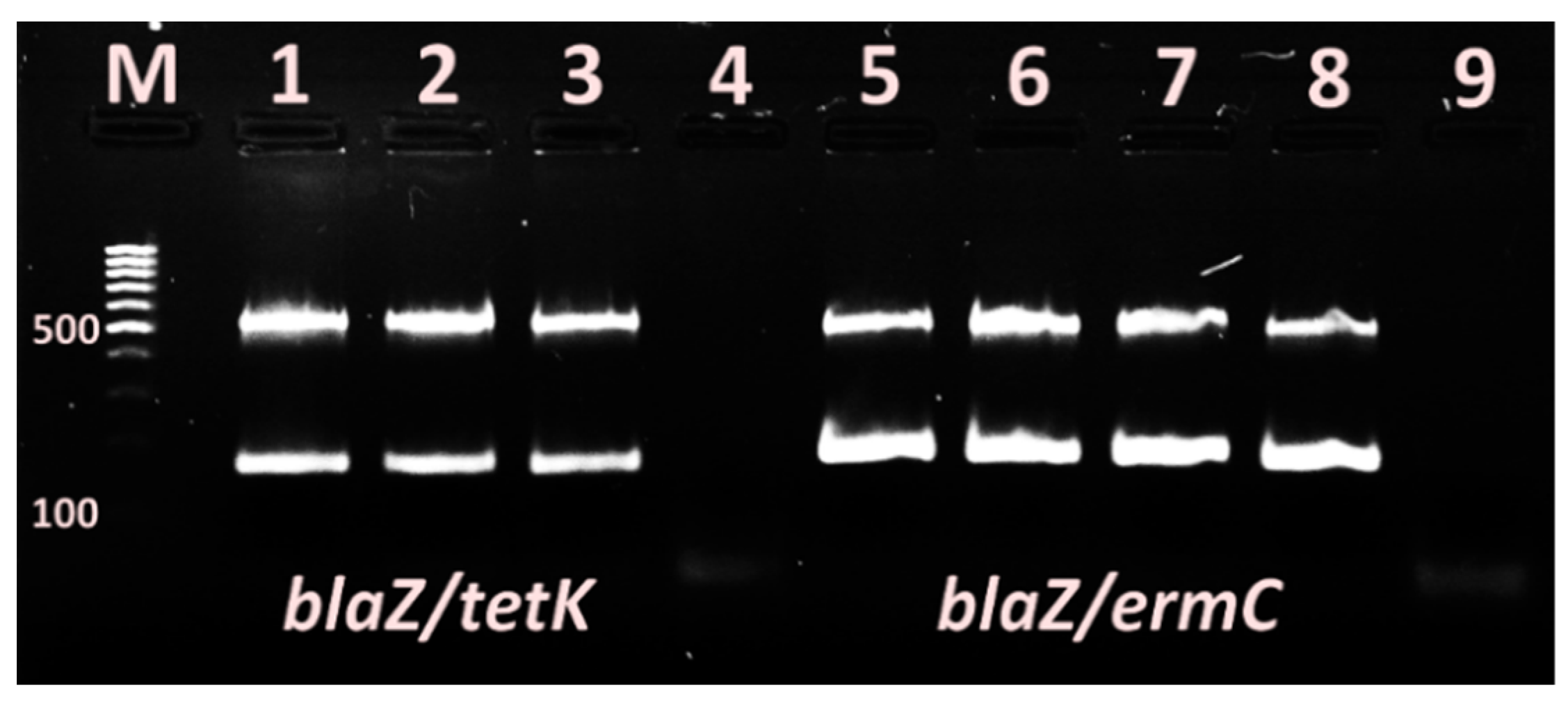 Vetsci 09 00401 g005