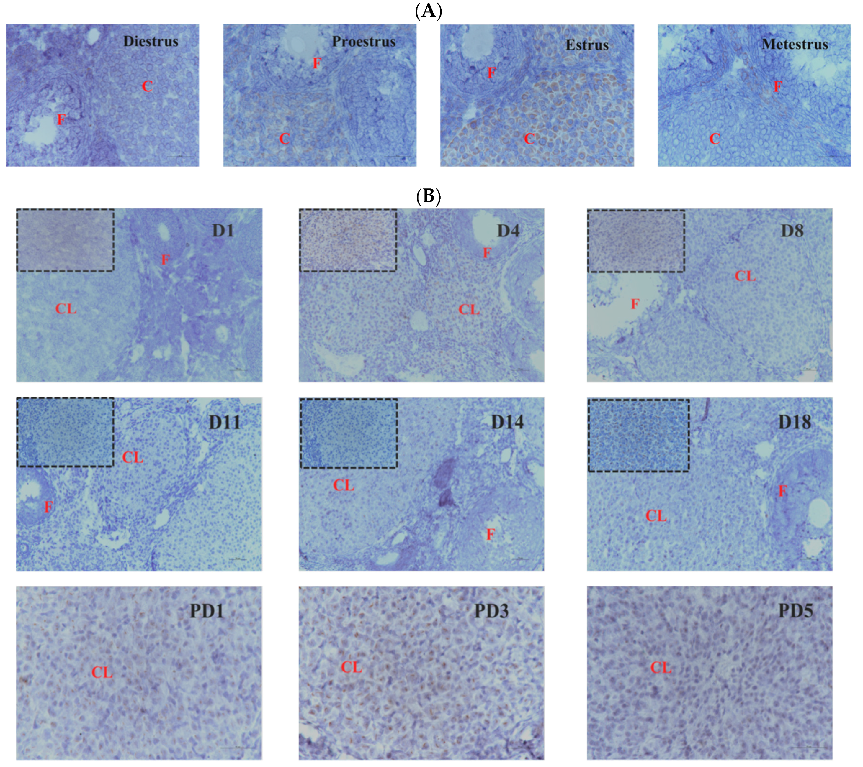 Vetsci 09 00404 g001