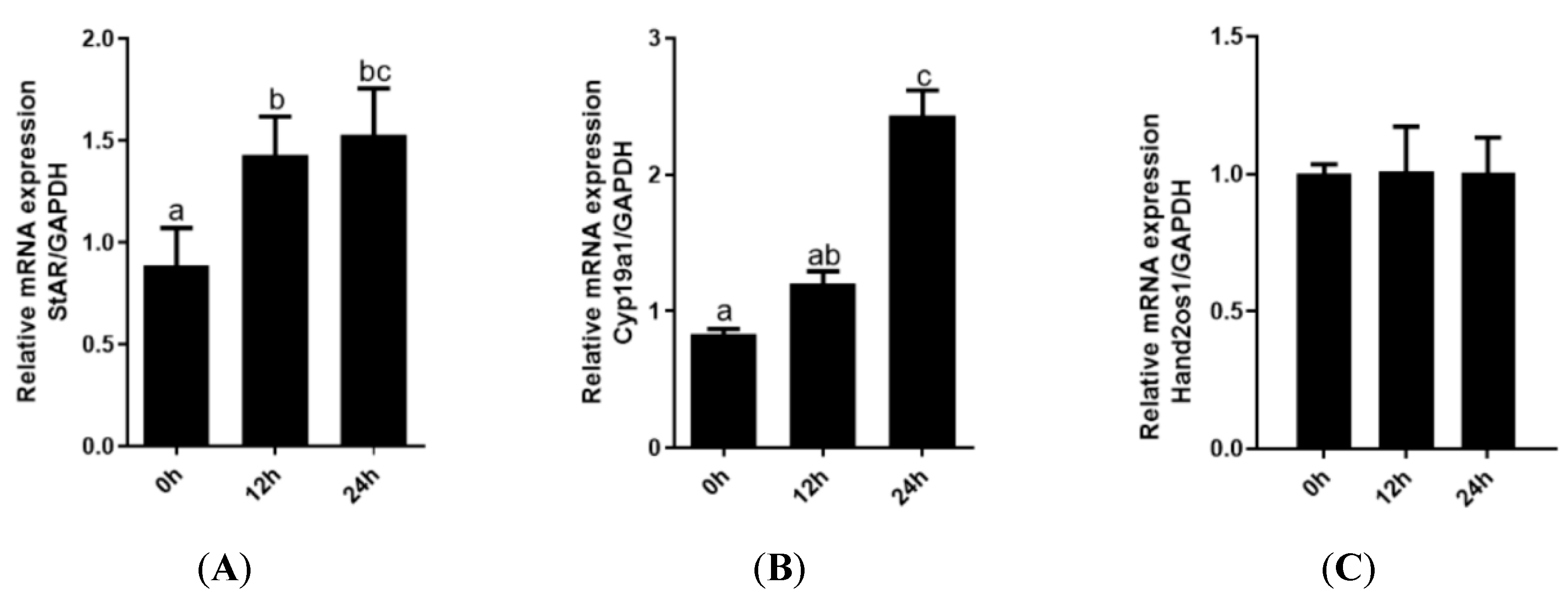 Vetsci 09 00404 g004
