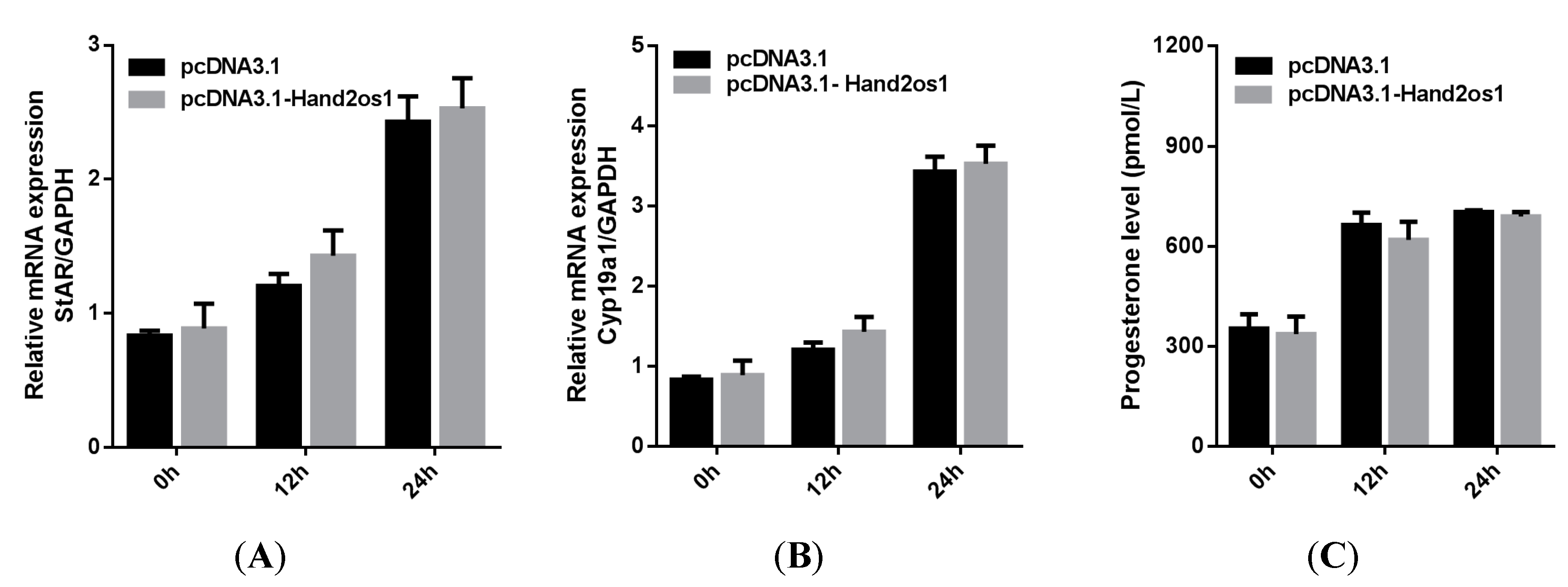 Vetsci 09 00404 g005