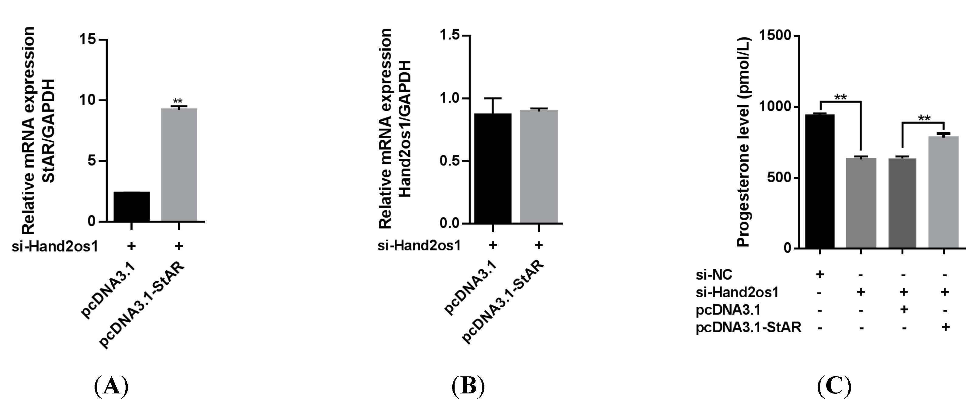 Vetsci 09 00404 g007