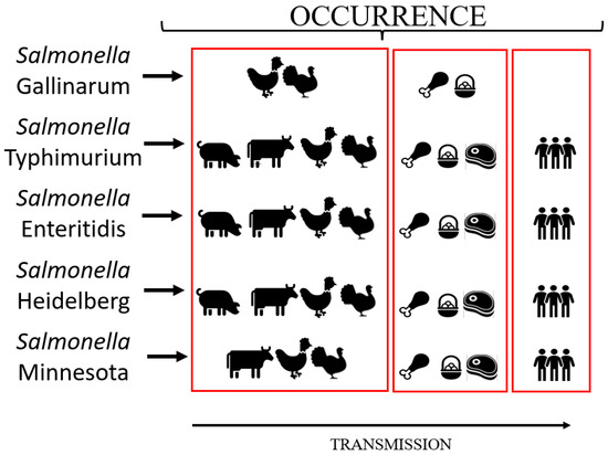 Veterinary Sciences Free Full Text Emergence Dissemination And salmonella-lifestyle-choices-mechanobiology-institute-national