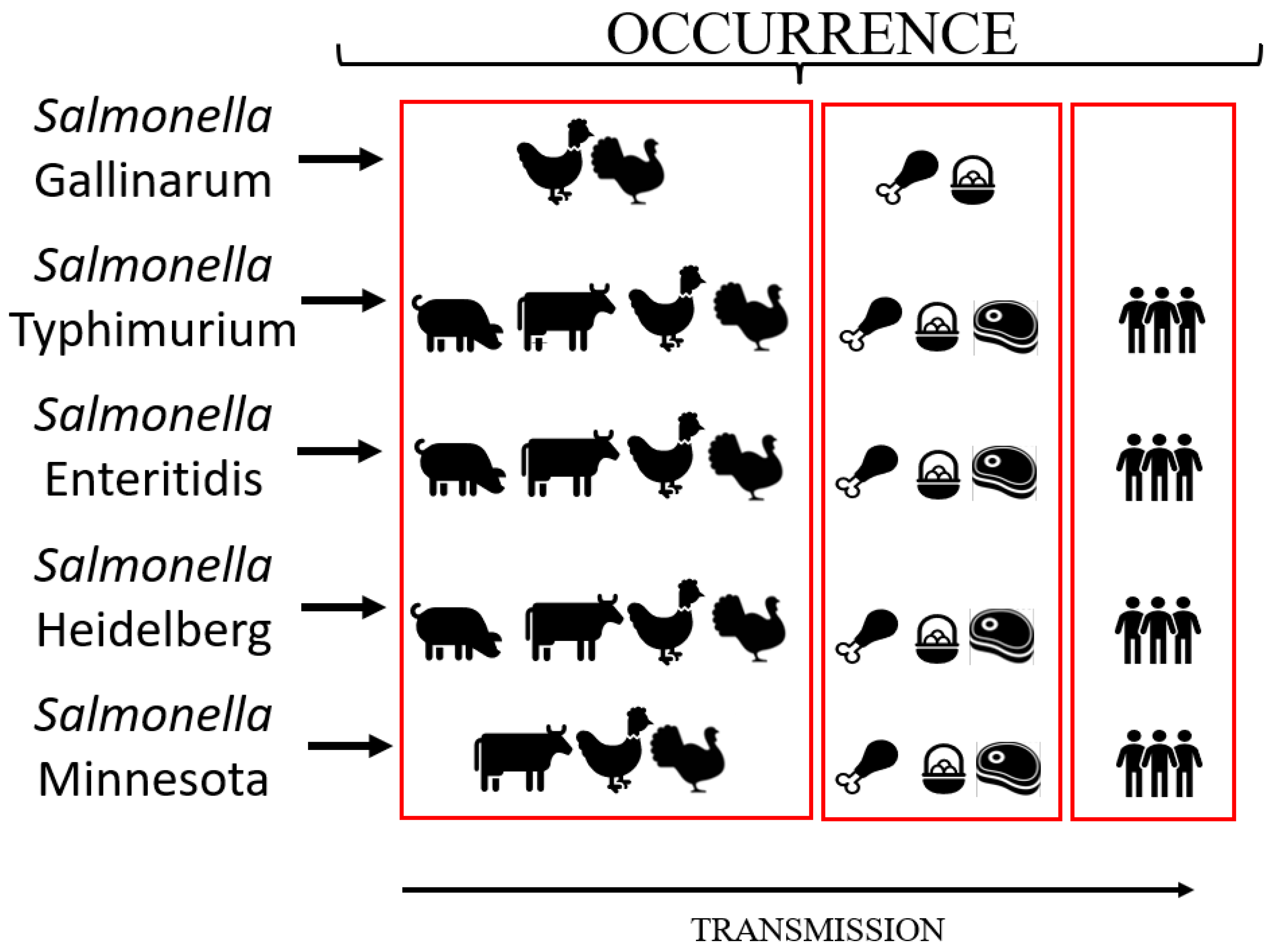 Vetsci 09 00405 g001 Vetsci 09 00405 g001