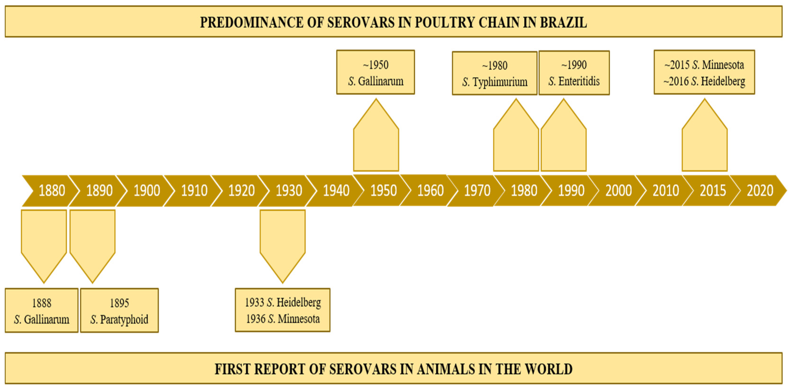 Vetsci 09 00405 g002 Vetsci 09 00405 g002