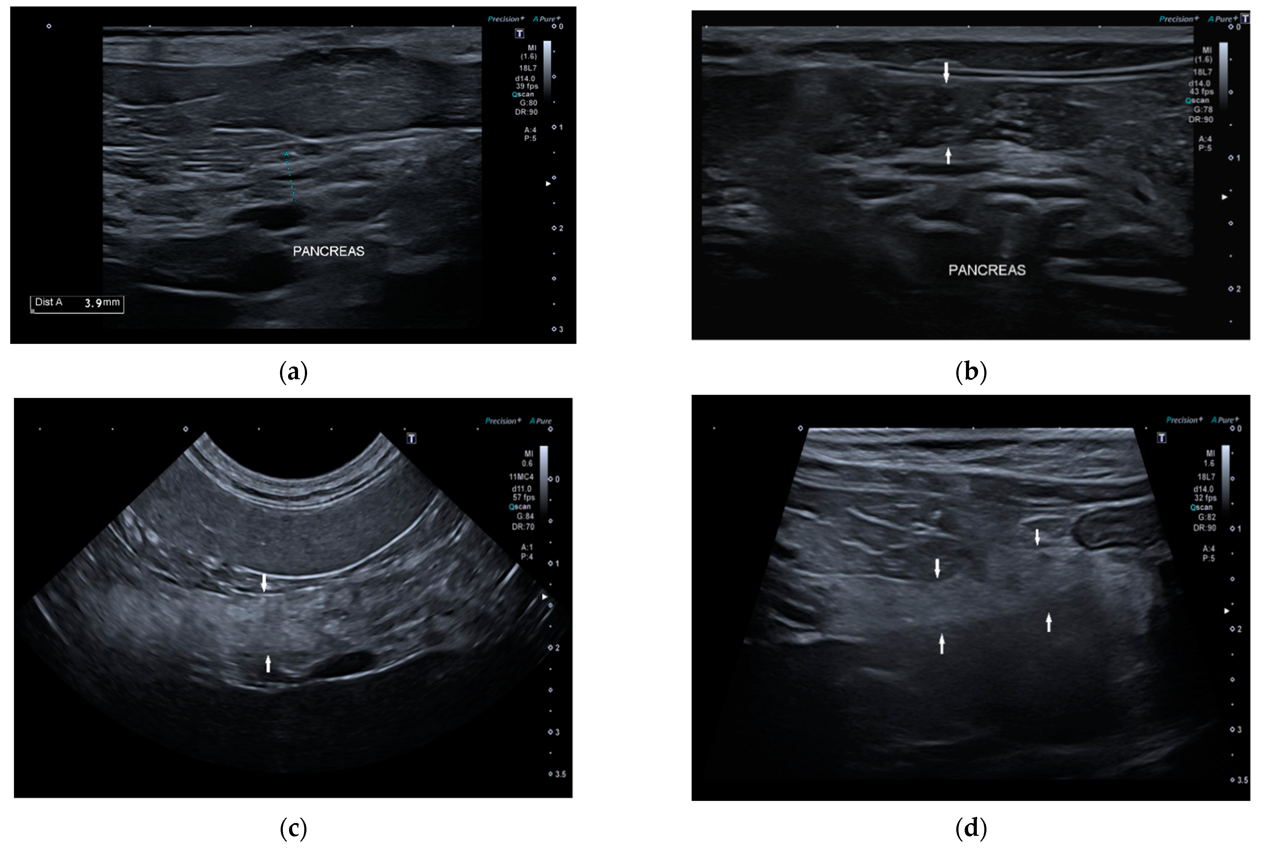 Vetsci 09 00407 g003 550