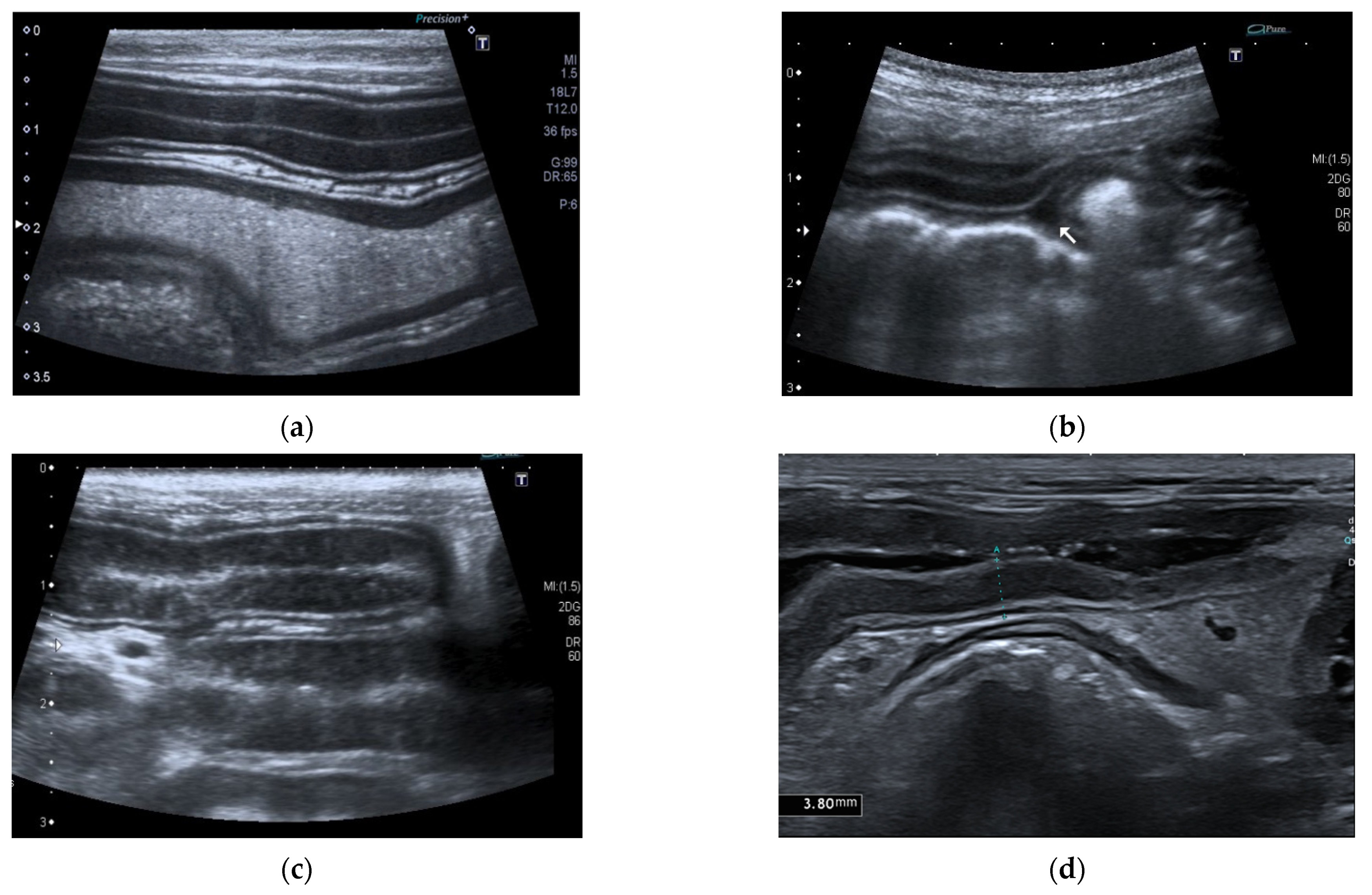Vetsci 09 00407 g004 550