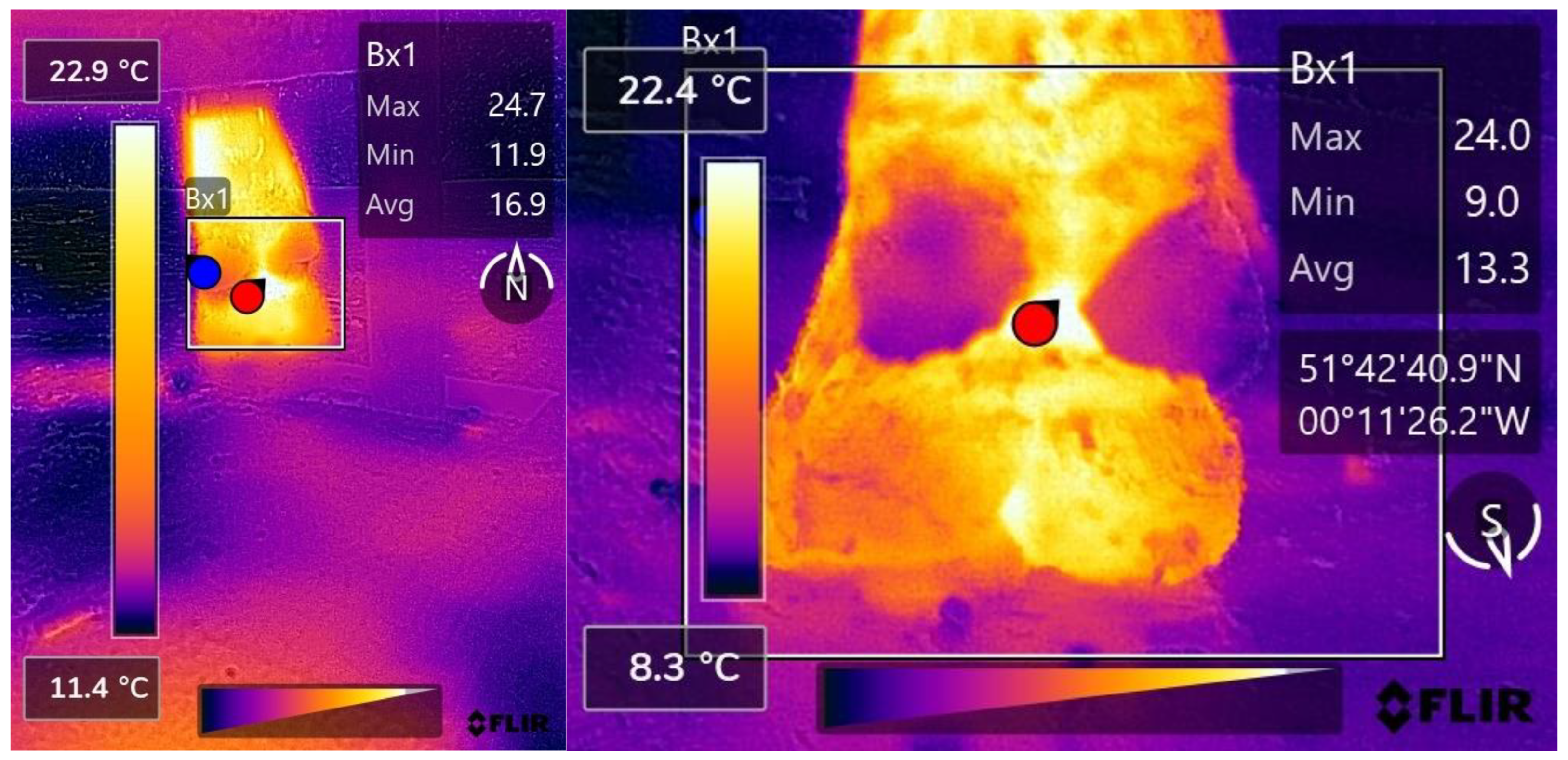 Vetsci 09 00414 g002