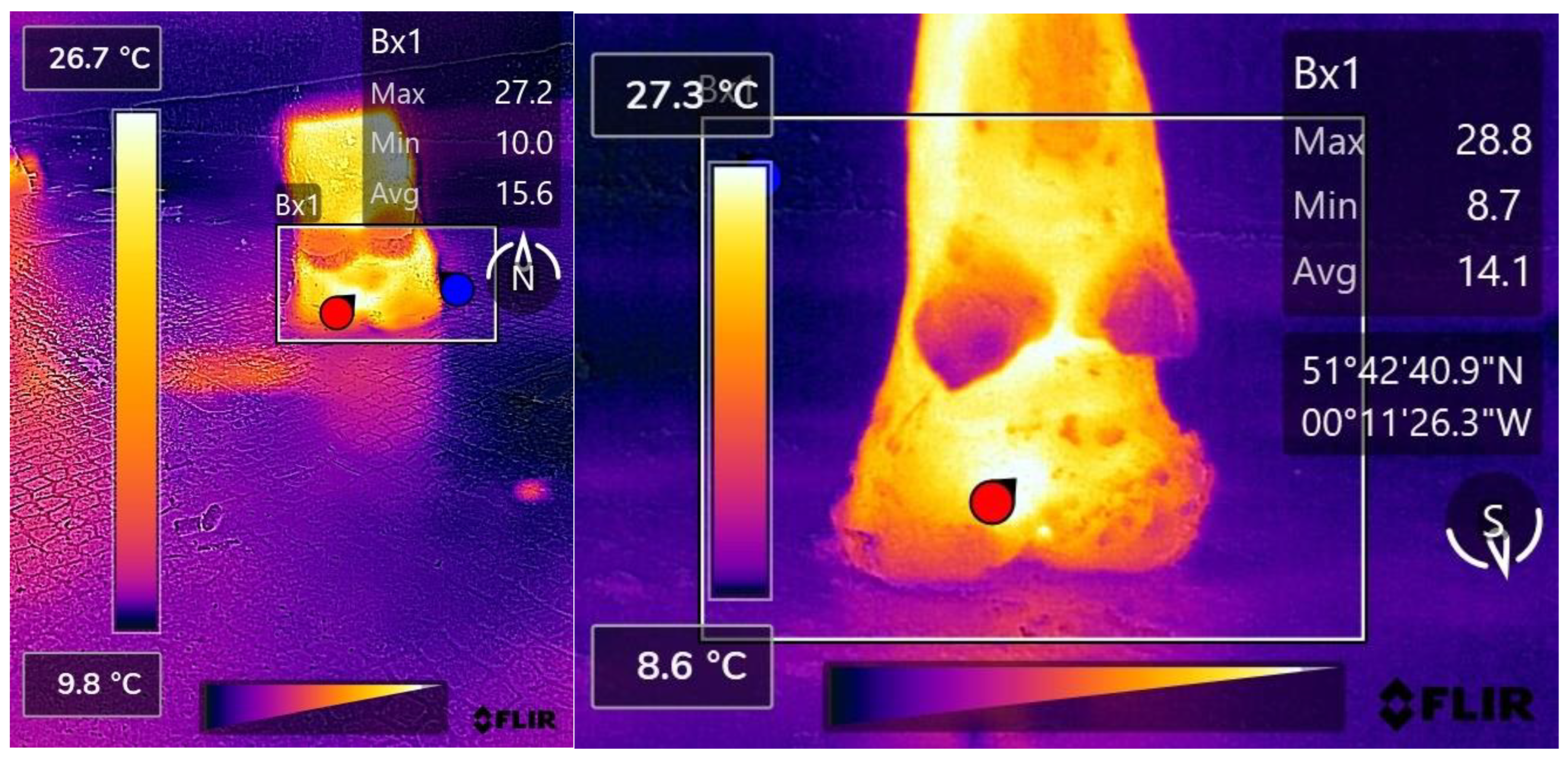 Vetsci 09 00414 g003