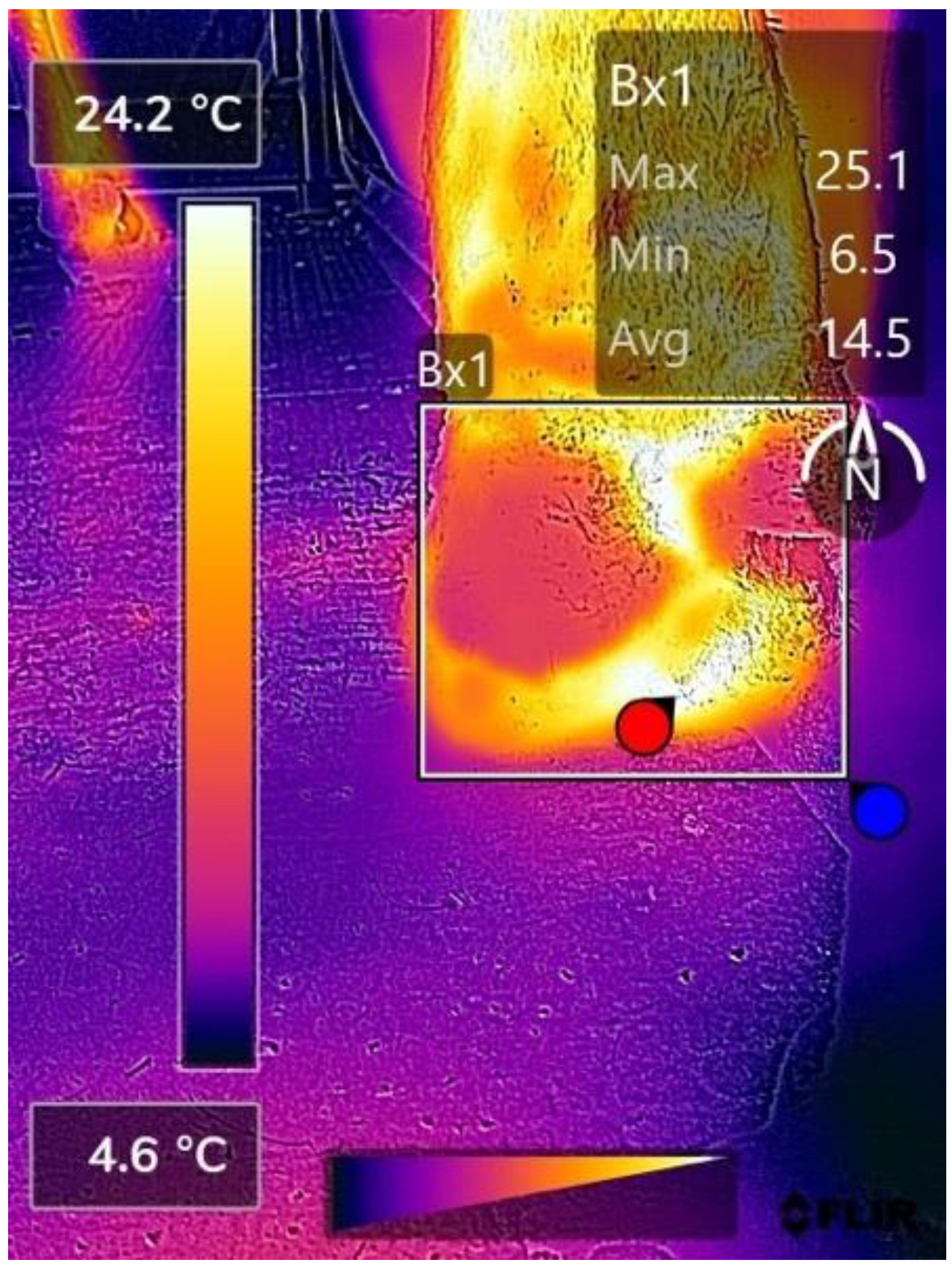 Vetsci 09 00414 g0a3