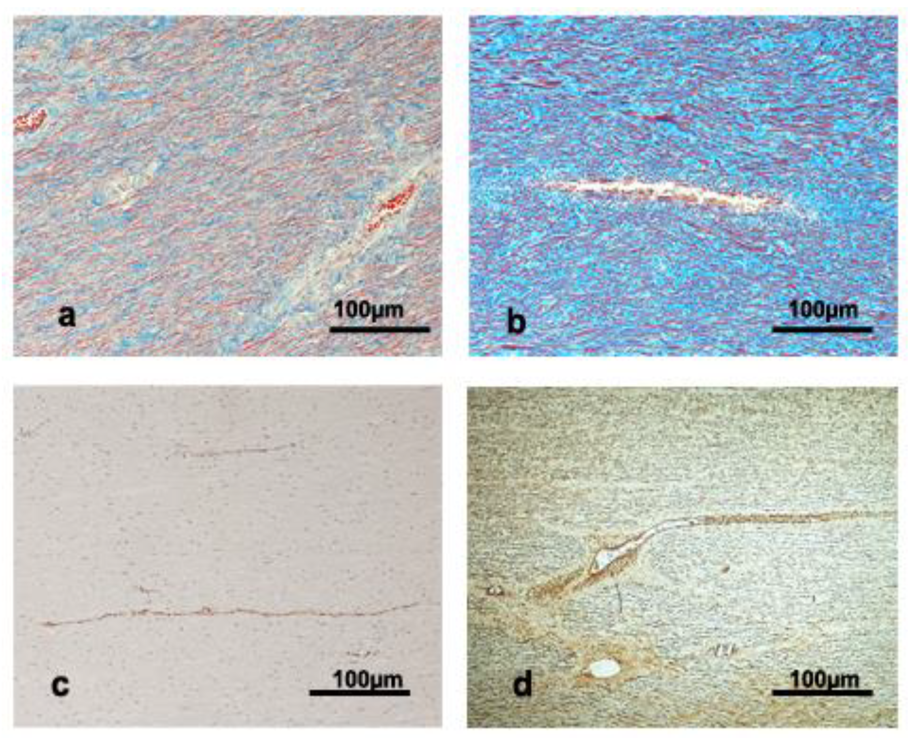 Vetsci 09 00424 g002 550