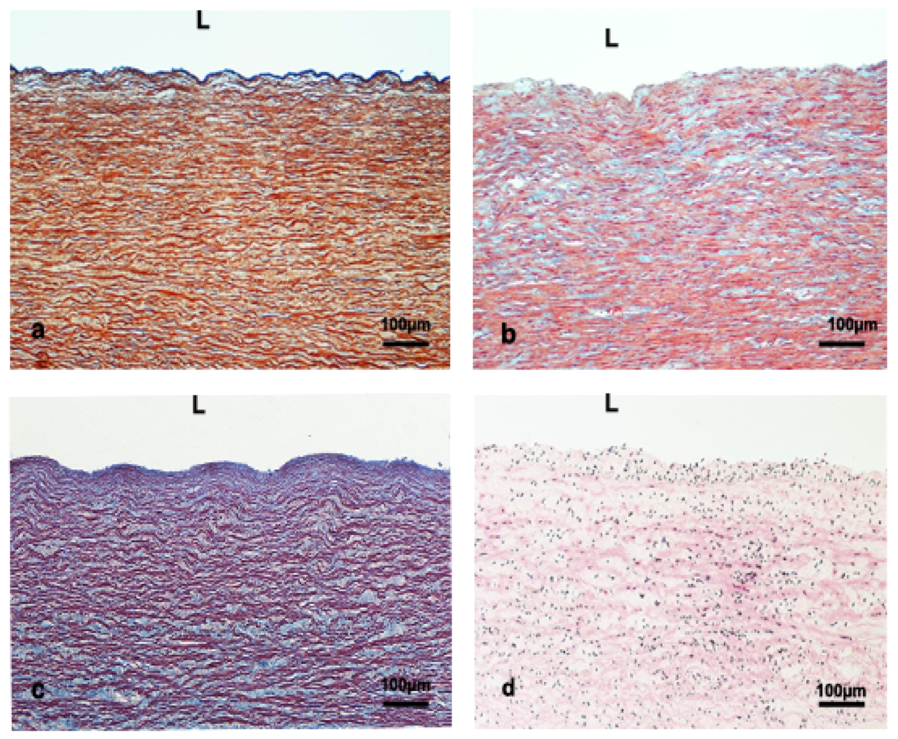 Vetsci 09 00424 g003 550