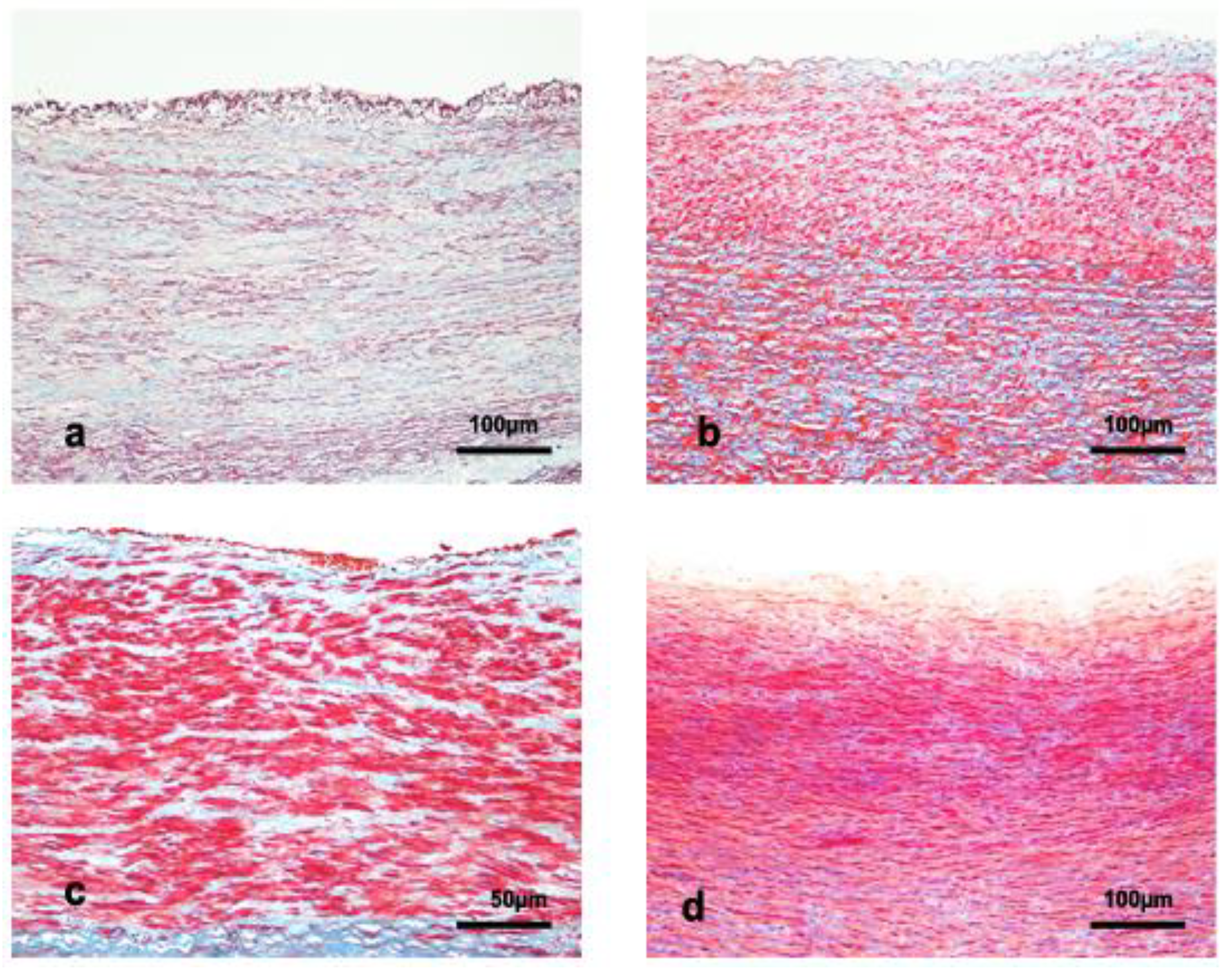 Vetsci 09 00424 g004 550
