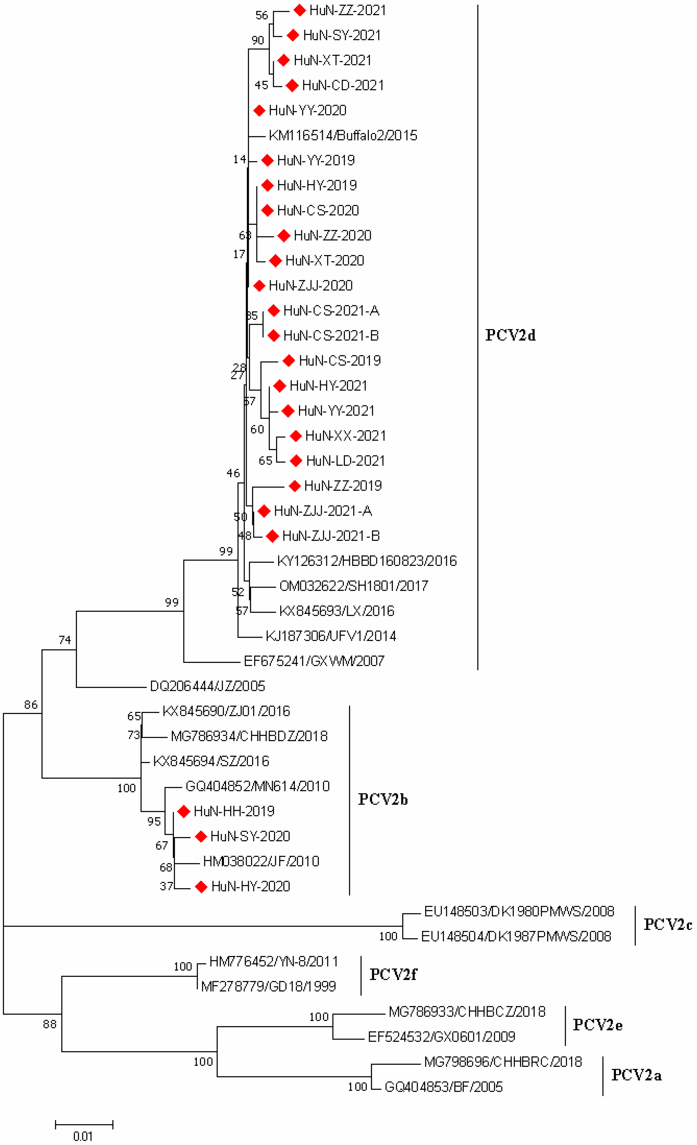 Vetsci 09 00425 g002 550