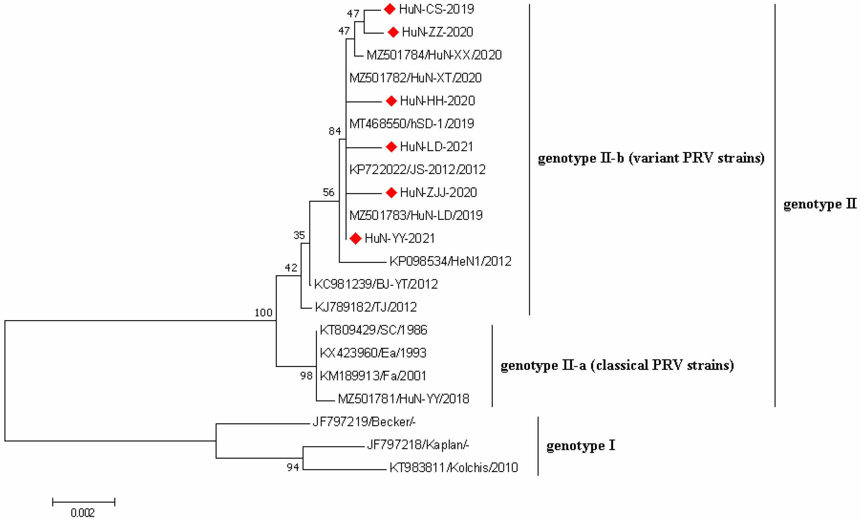 Vetsci 09 00425 g004 550