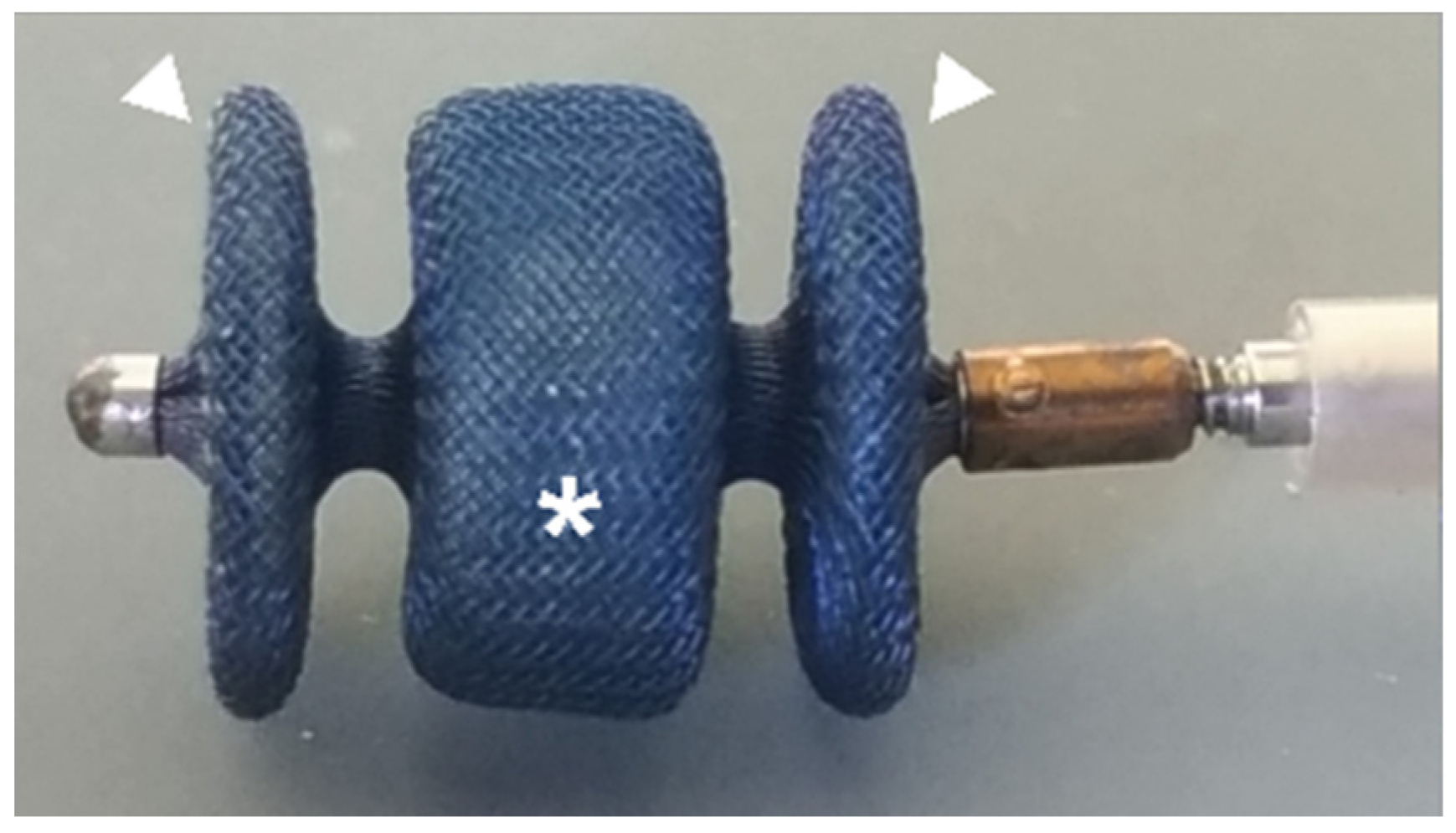 Vetsci 09 00431 g001