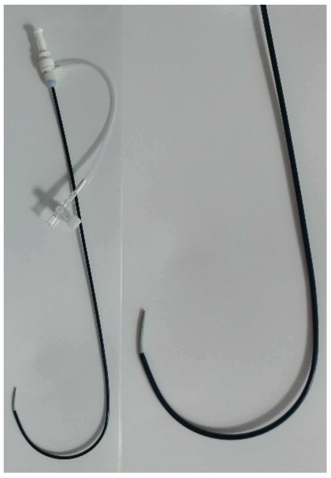 Vetsci 09 00431 g002