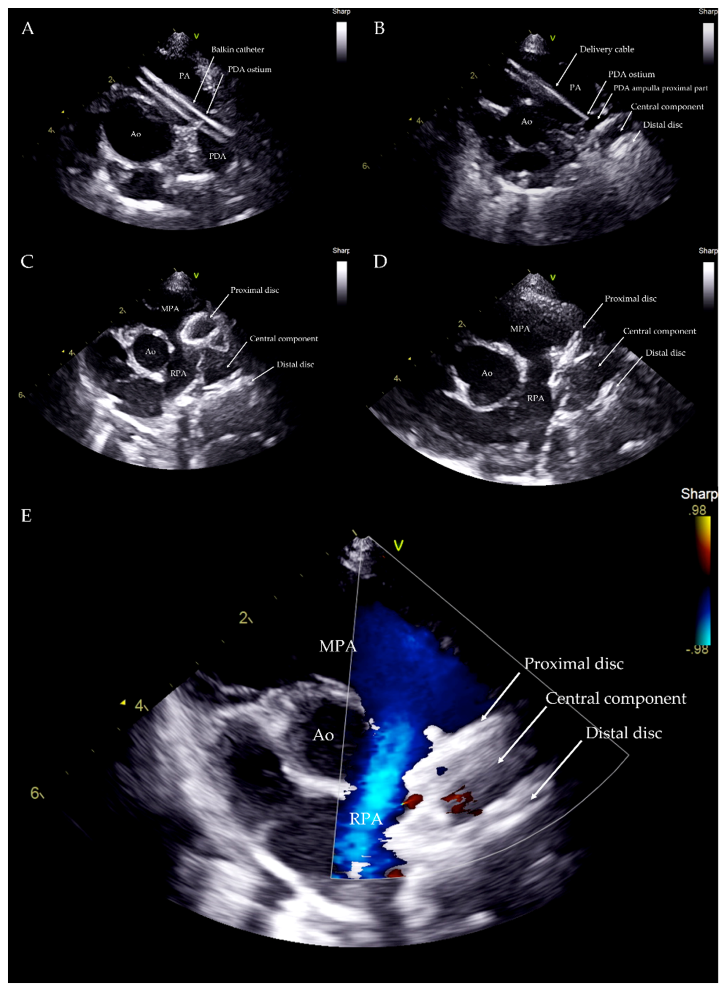 Vetsci 09 00431 g005