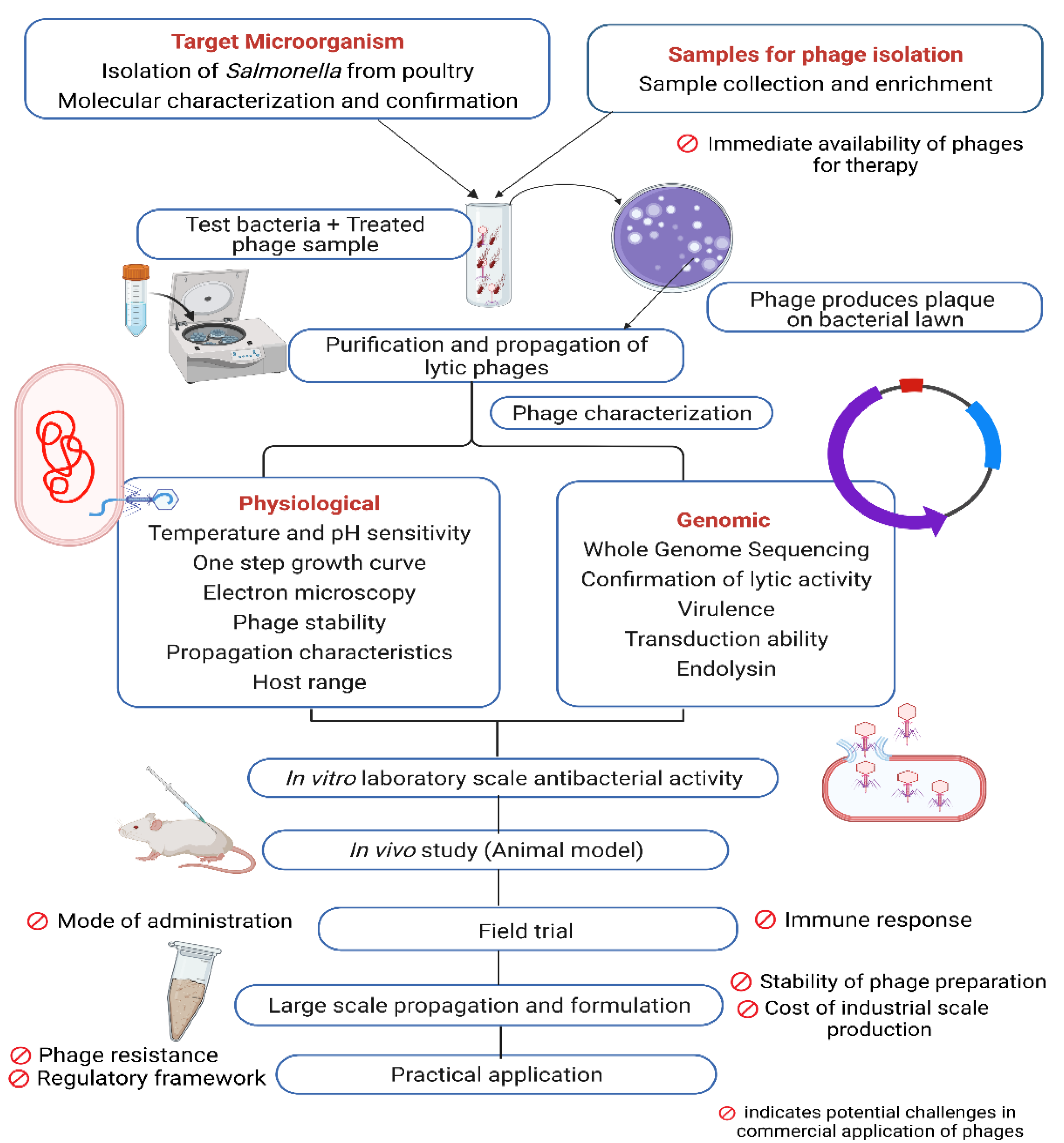 Vetsci 09 00438 g001 550