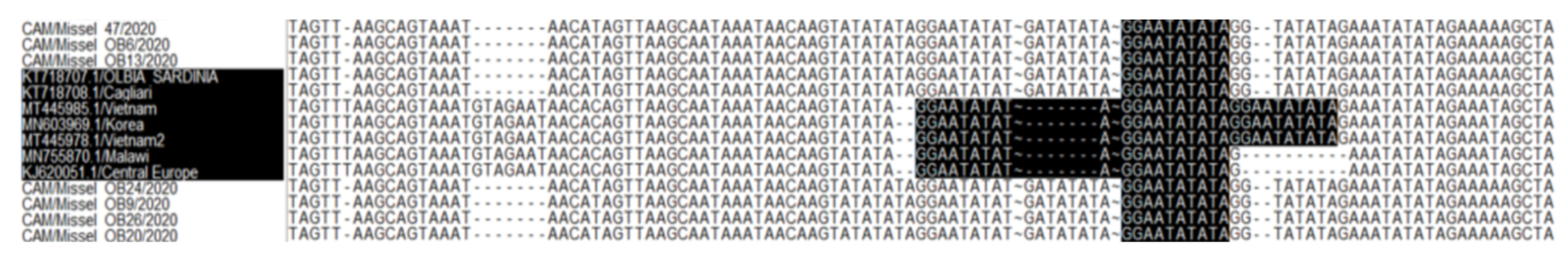 Vetsci 09 00440 g004 550