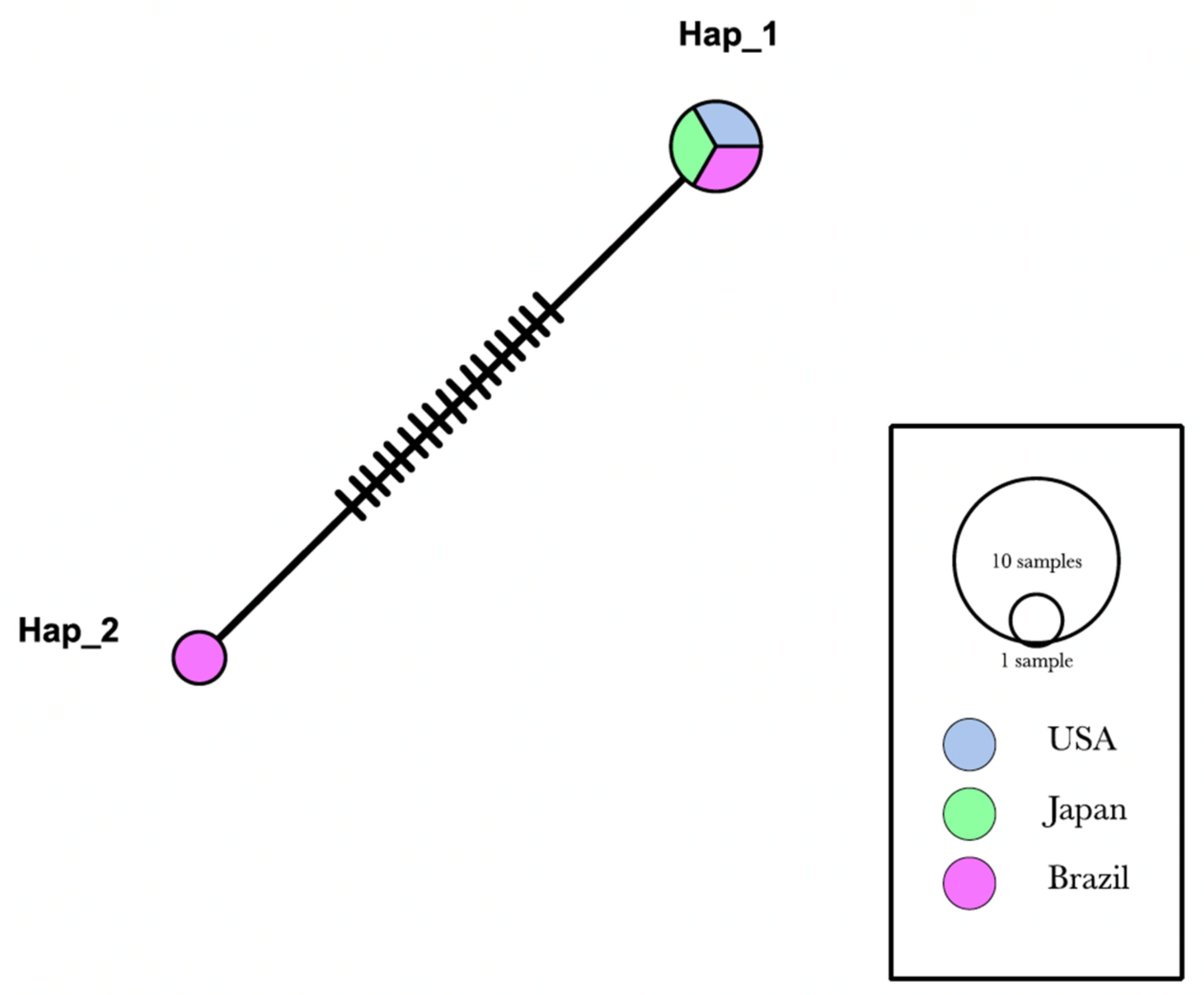 Vetsci 09 00443 g002 550