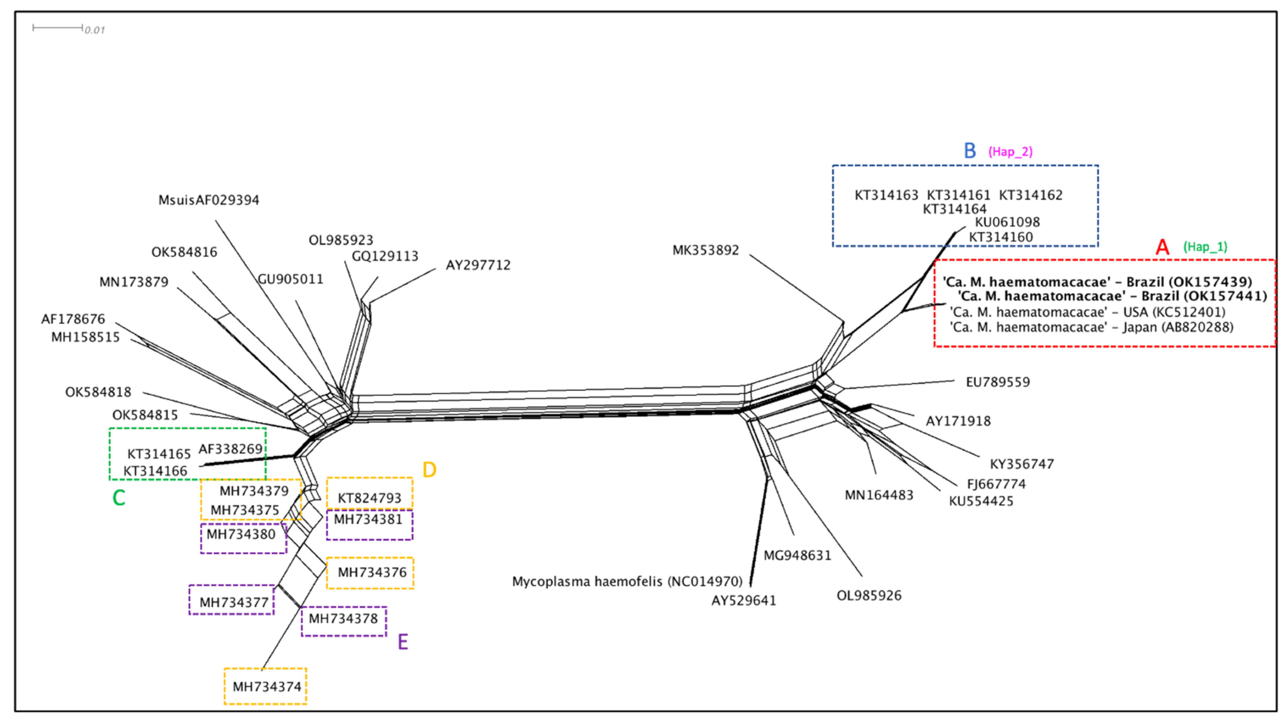 Vetsci 09 00443 g003 550