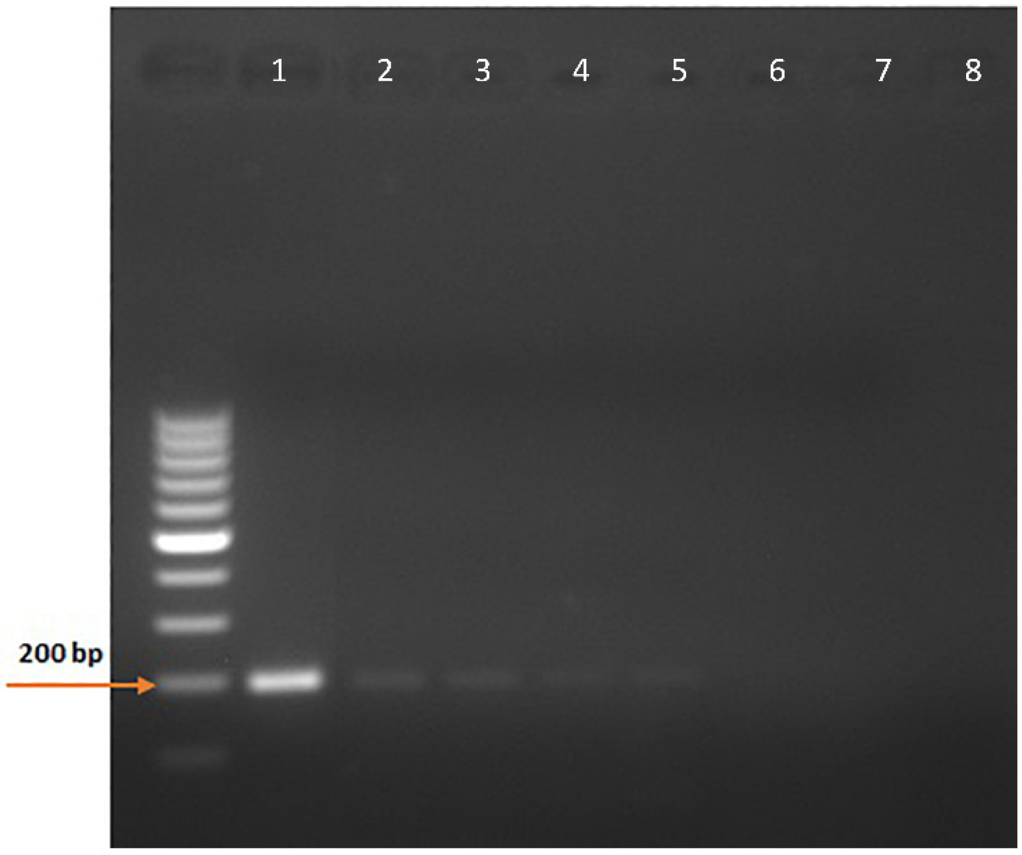 Vetsci 09 00444 g004 550