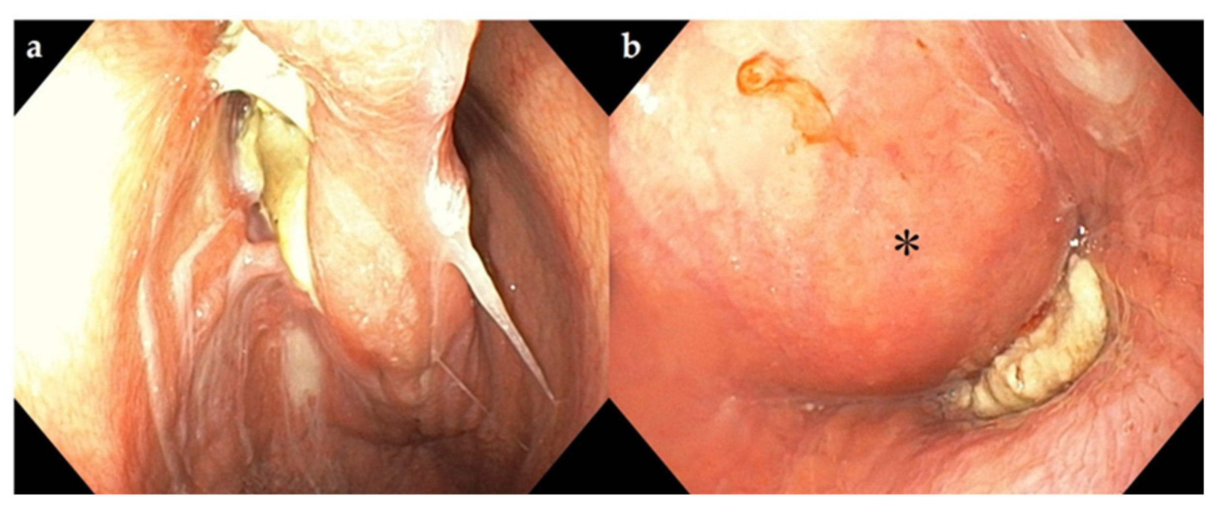 Vetsci 09 00446 g003 550