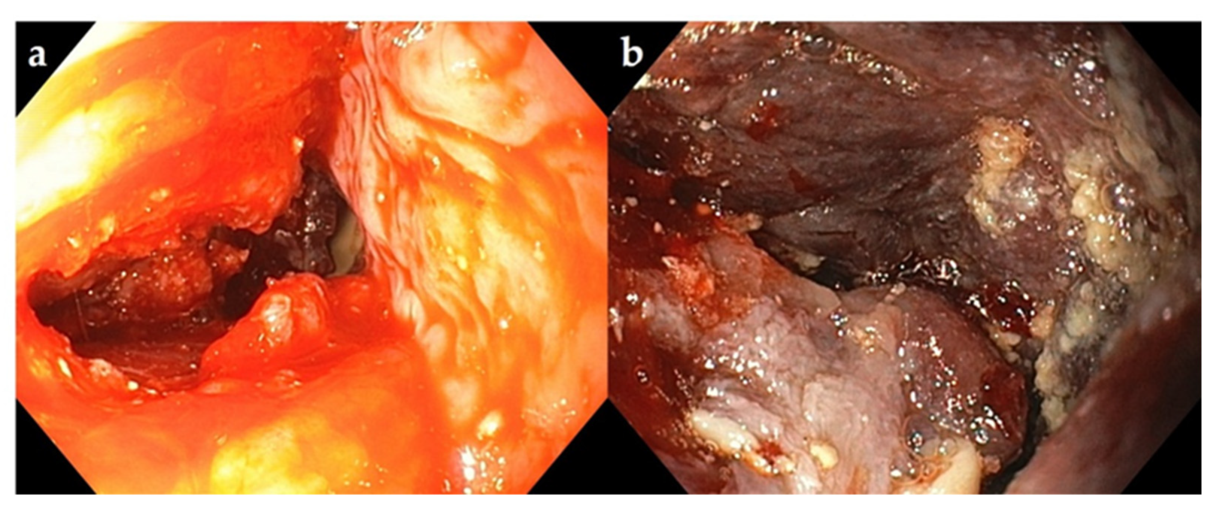 Vetsci 09 00446 g004 550