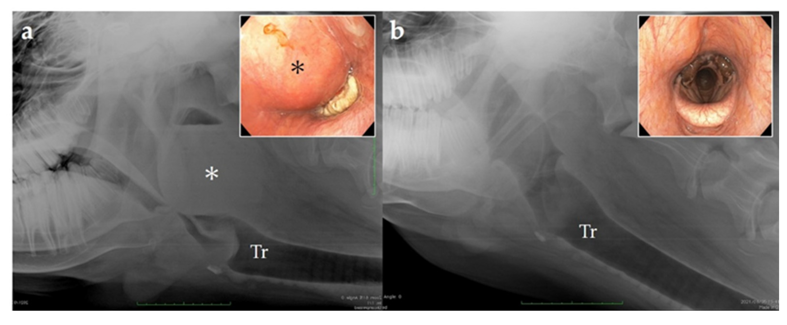 Vetsci 09 00446 g006 550
