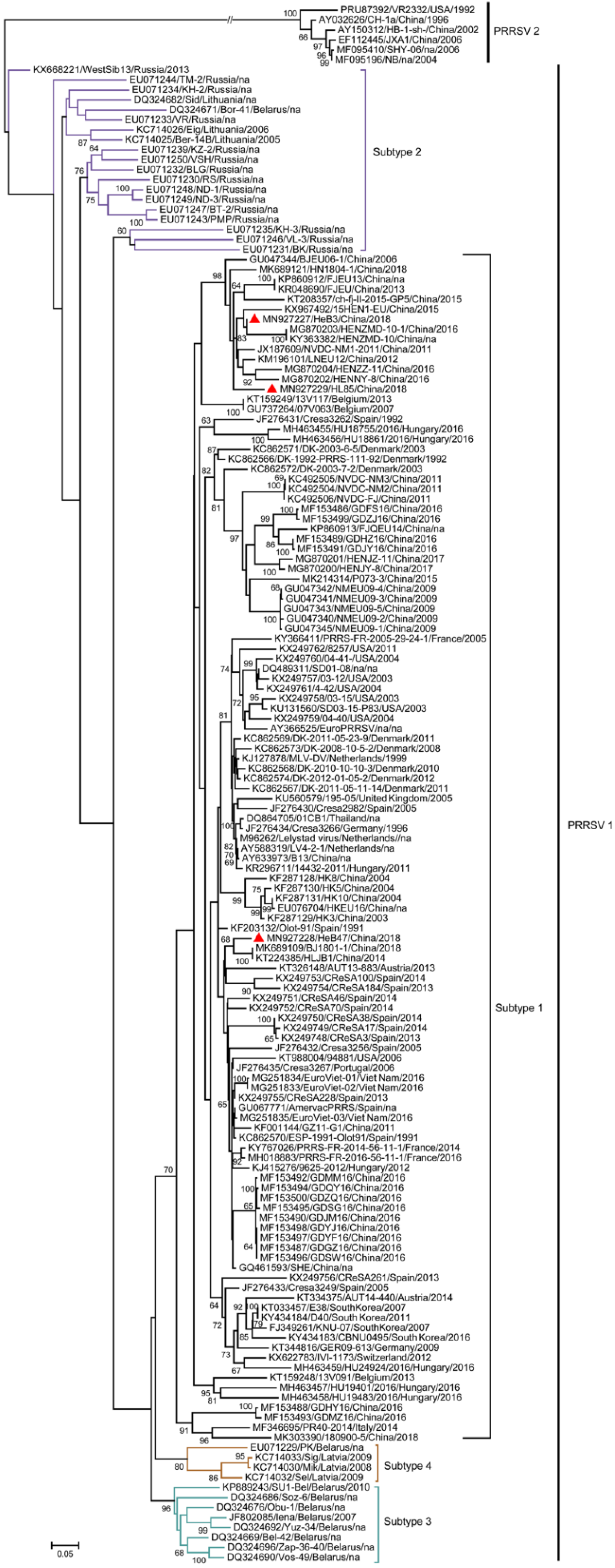 Vetsci 09 00450 g005