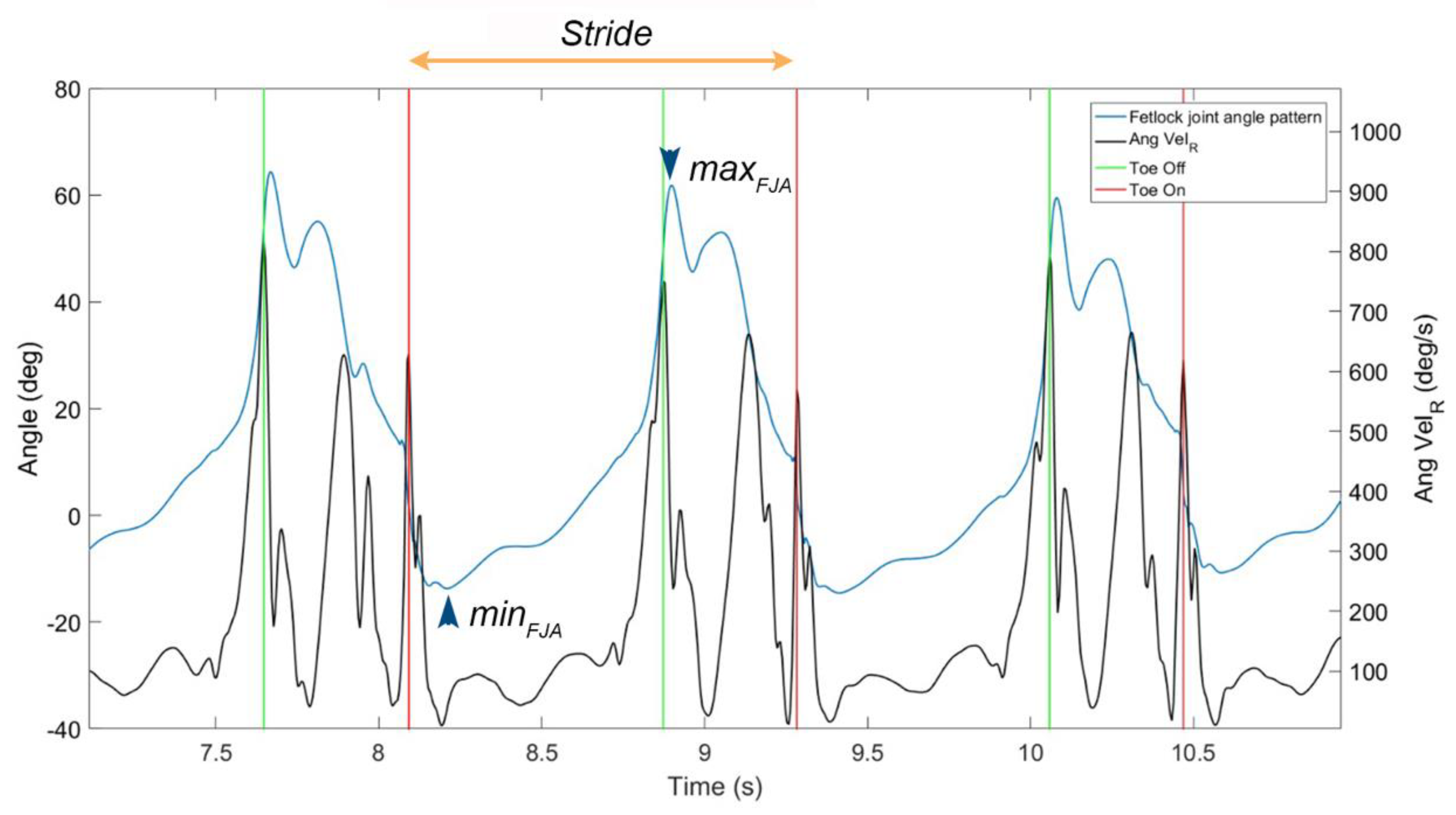 Vetsci 09 00456 g003