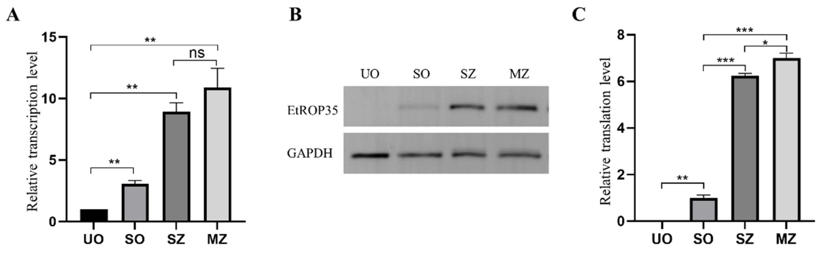 Vetsci 09 00465 g003 550