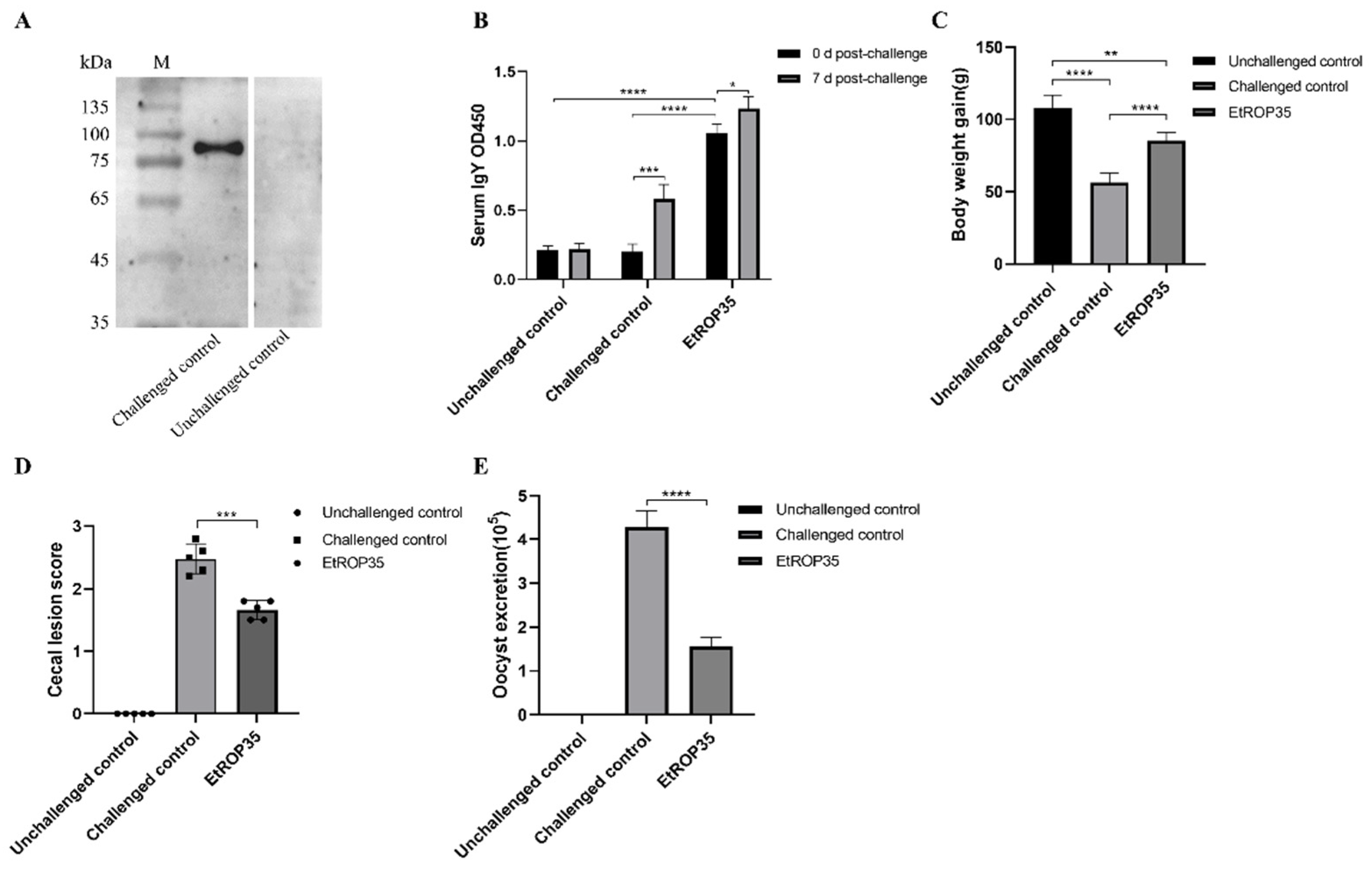 Vetsci 09 00465 g005 550