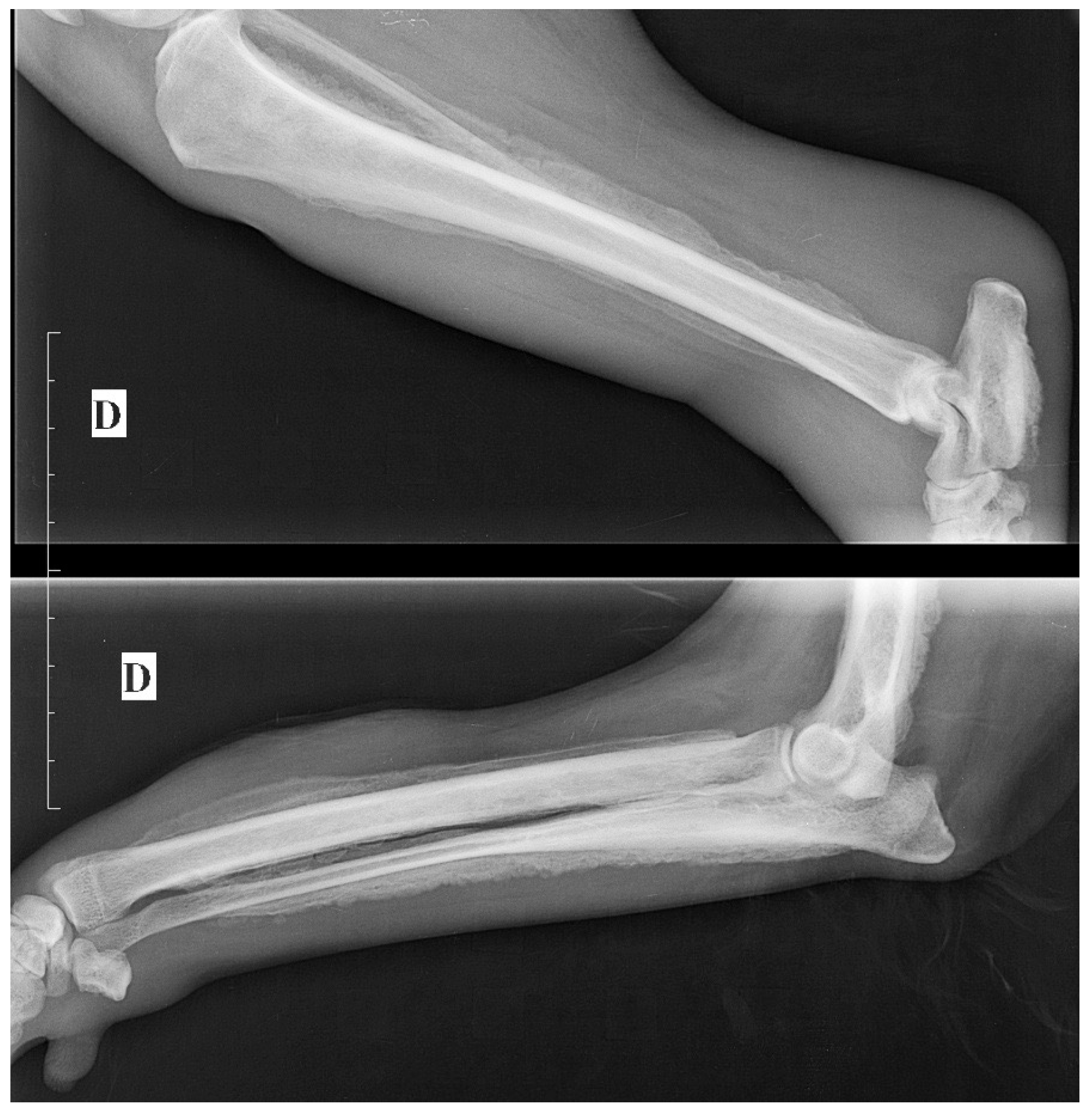 Vetsci 09 00466 g003 550