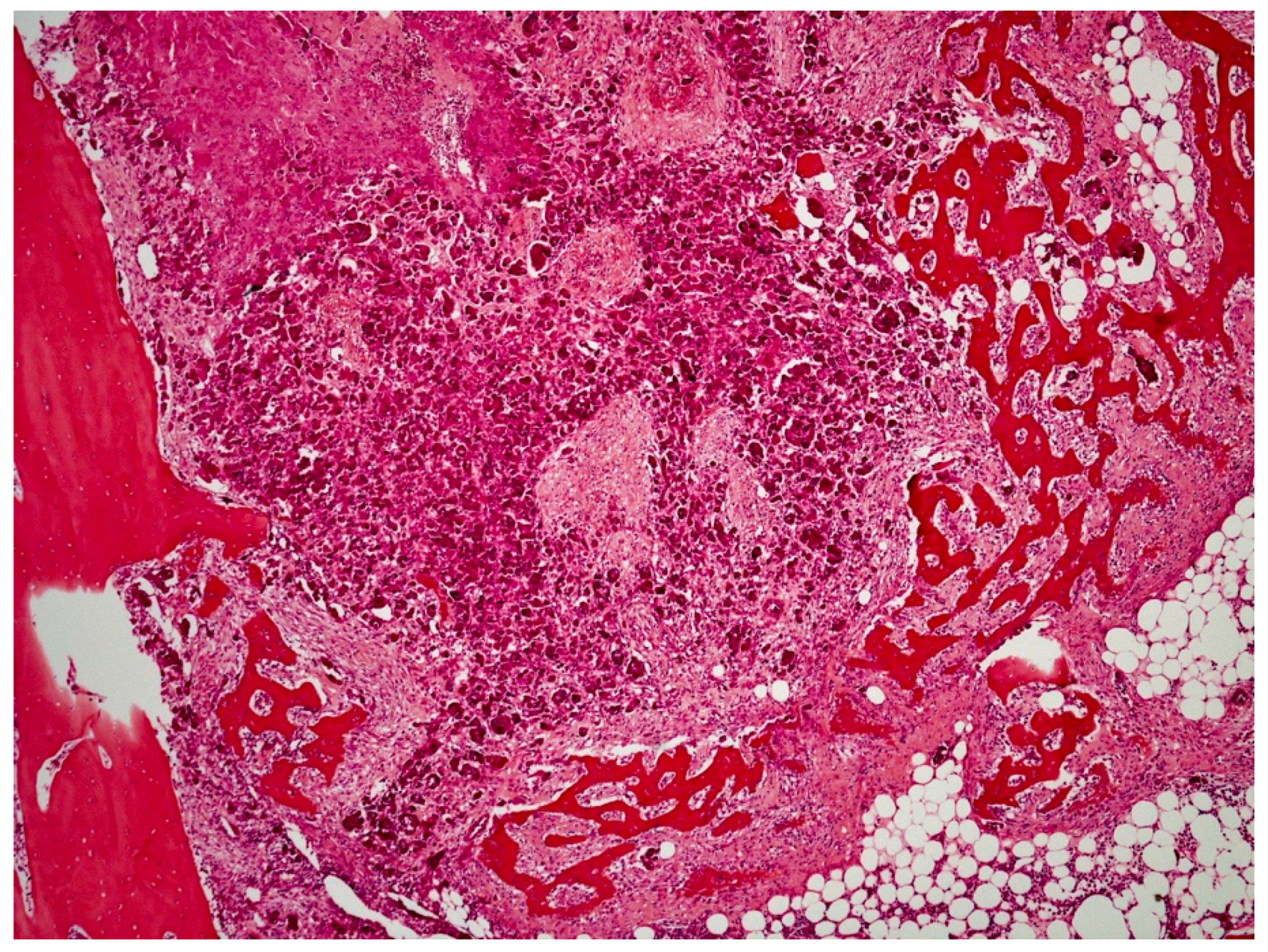 Vetsci 09 00466 g007 550