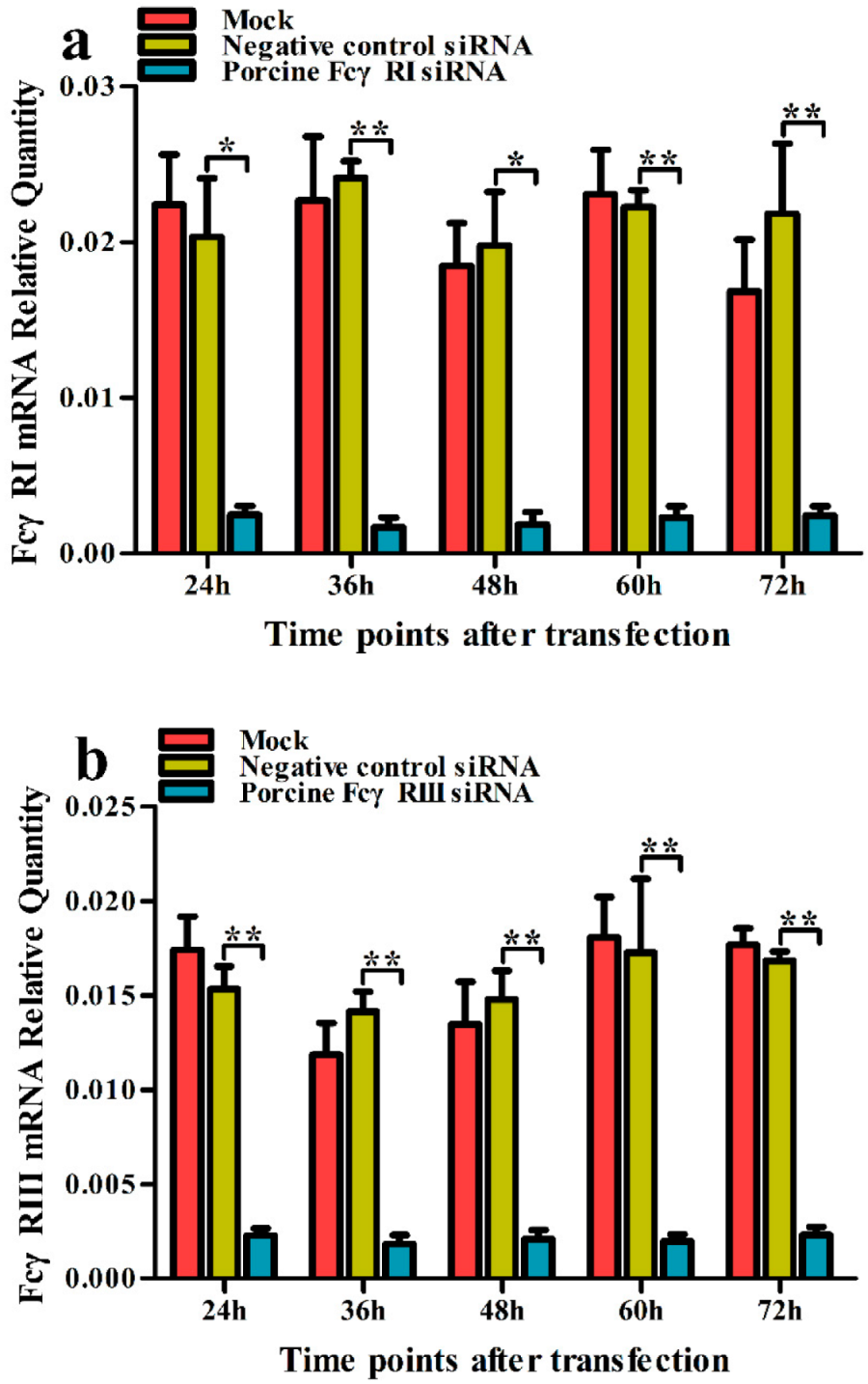 Vetsci 09 00470 g002 550