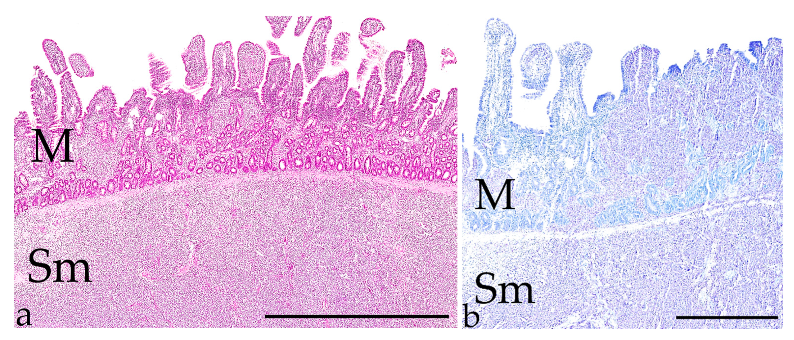 Vetsci 09 00477 g008 550