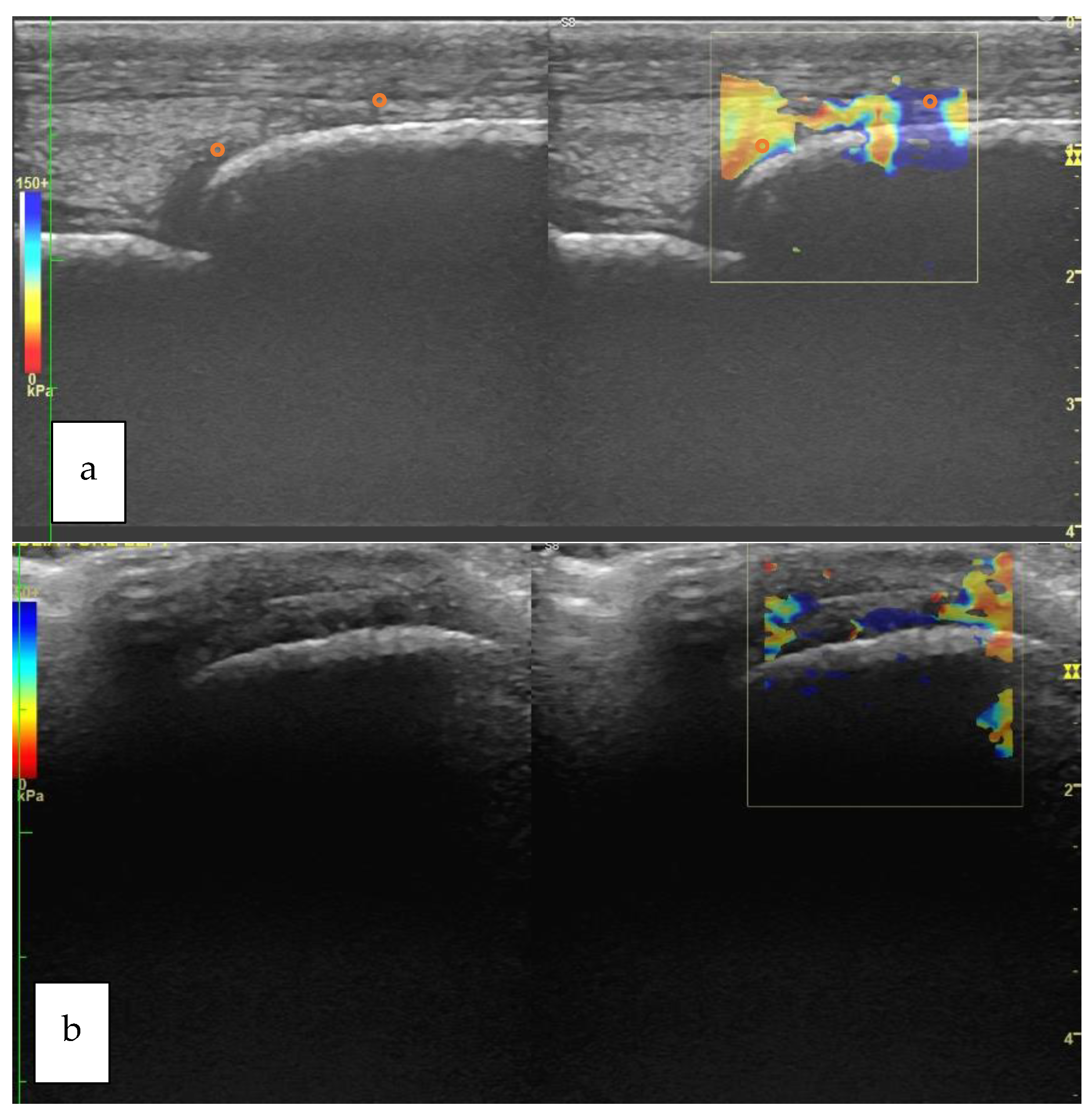 Vetsci 09 00478 g003