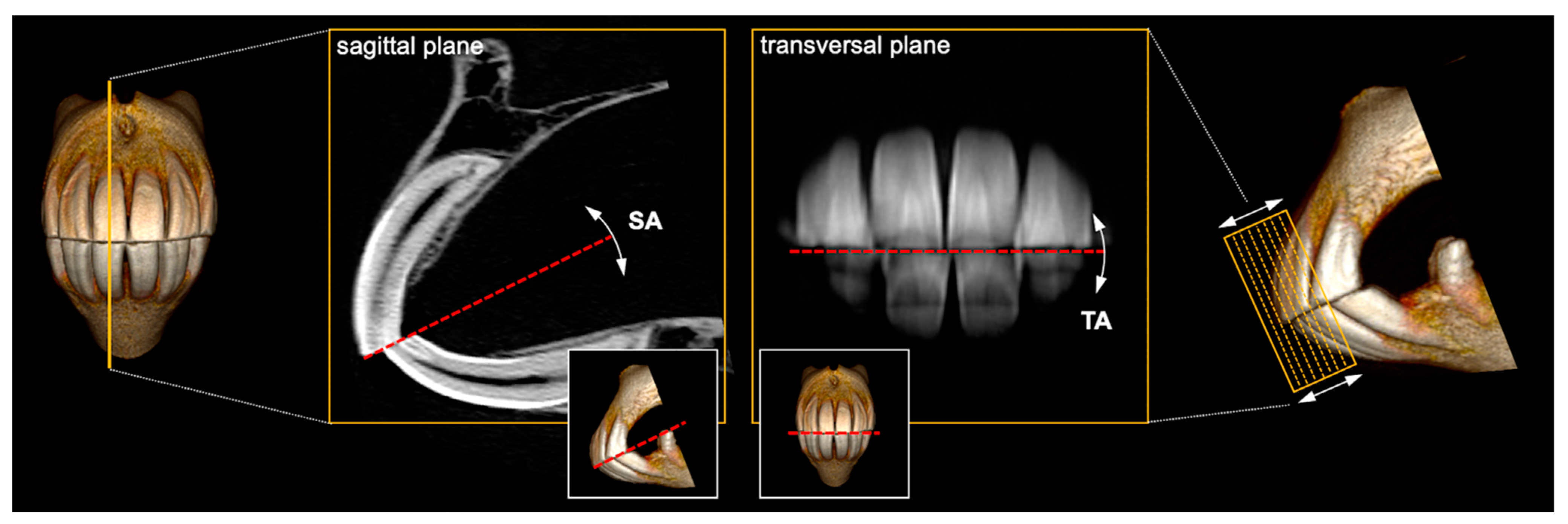 Vetsci 09 00481 g001