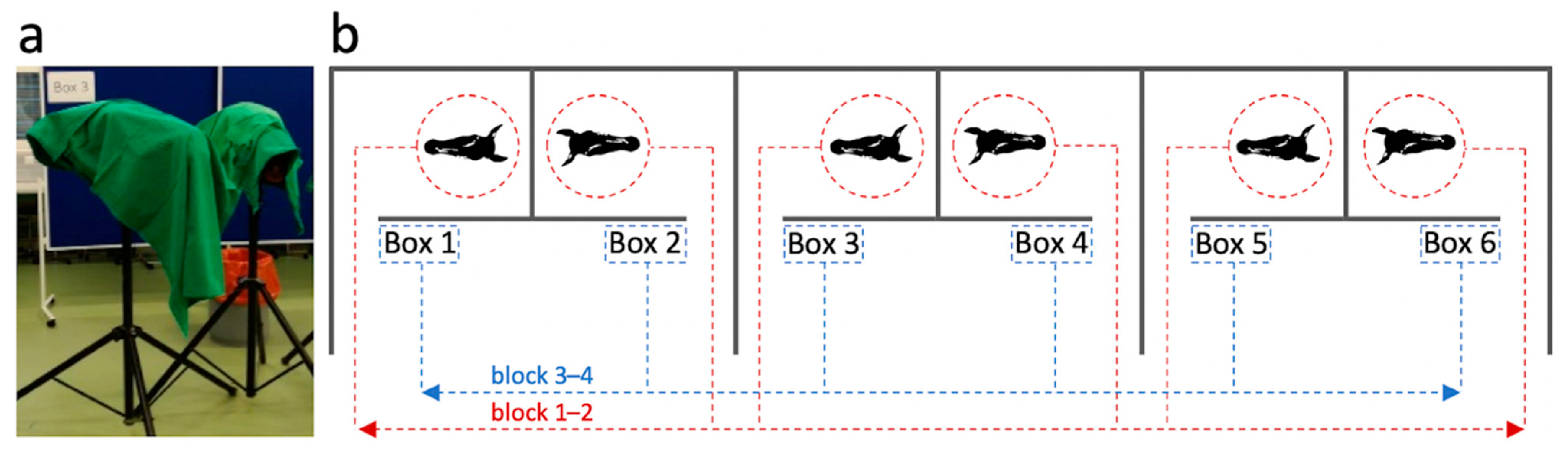 Vetsci 09 00481 g003