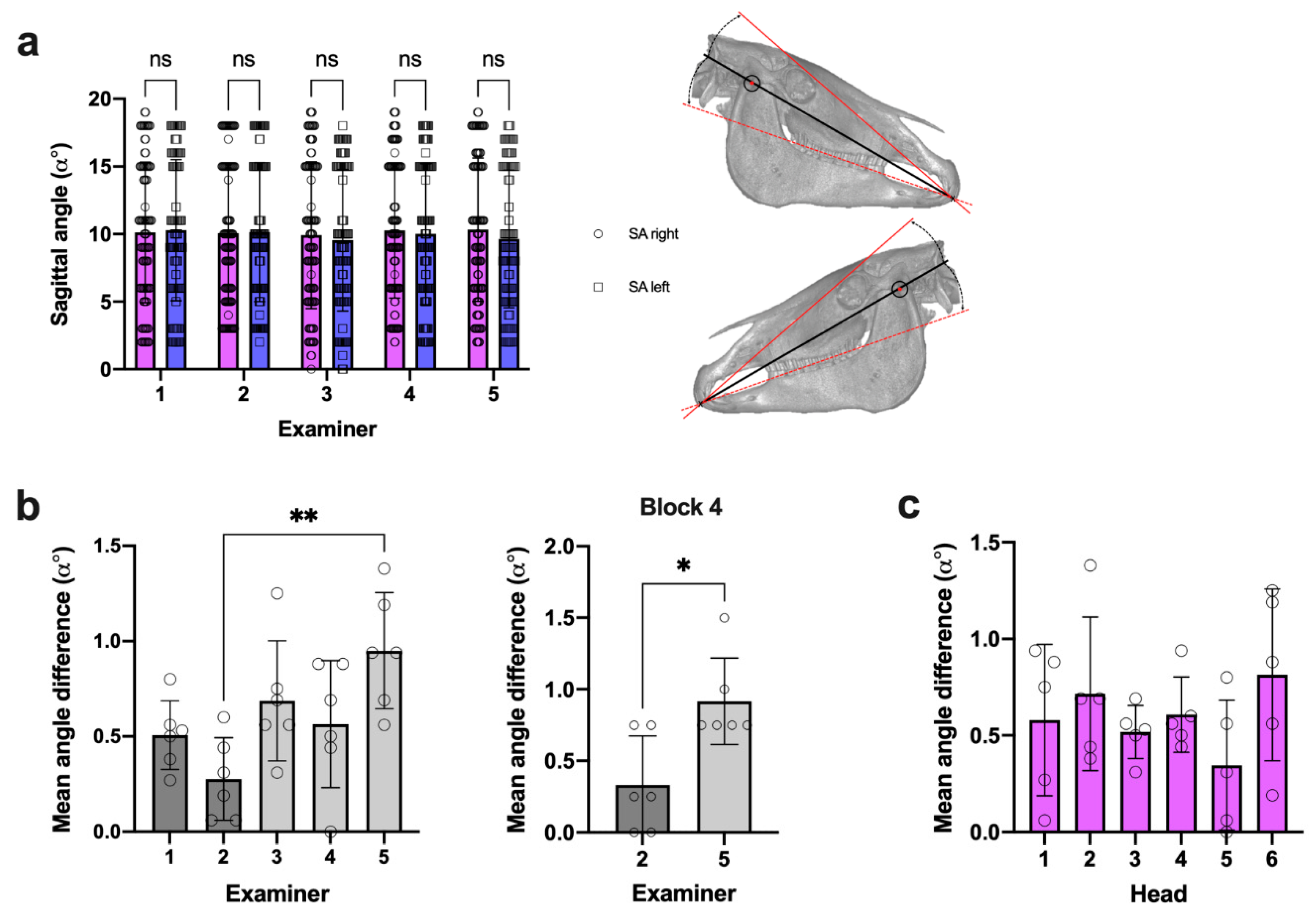 Vetsci 09 00481 g005