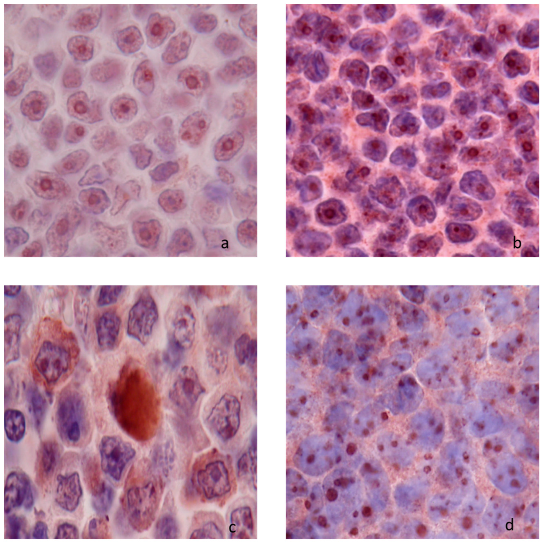 Vetsci 09 00494 g002 Vetsci 09 00494 g002