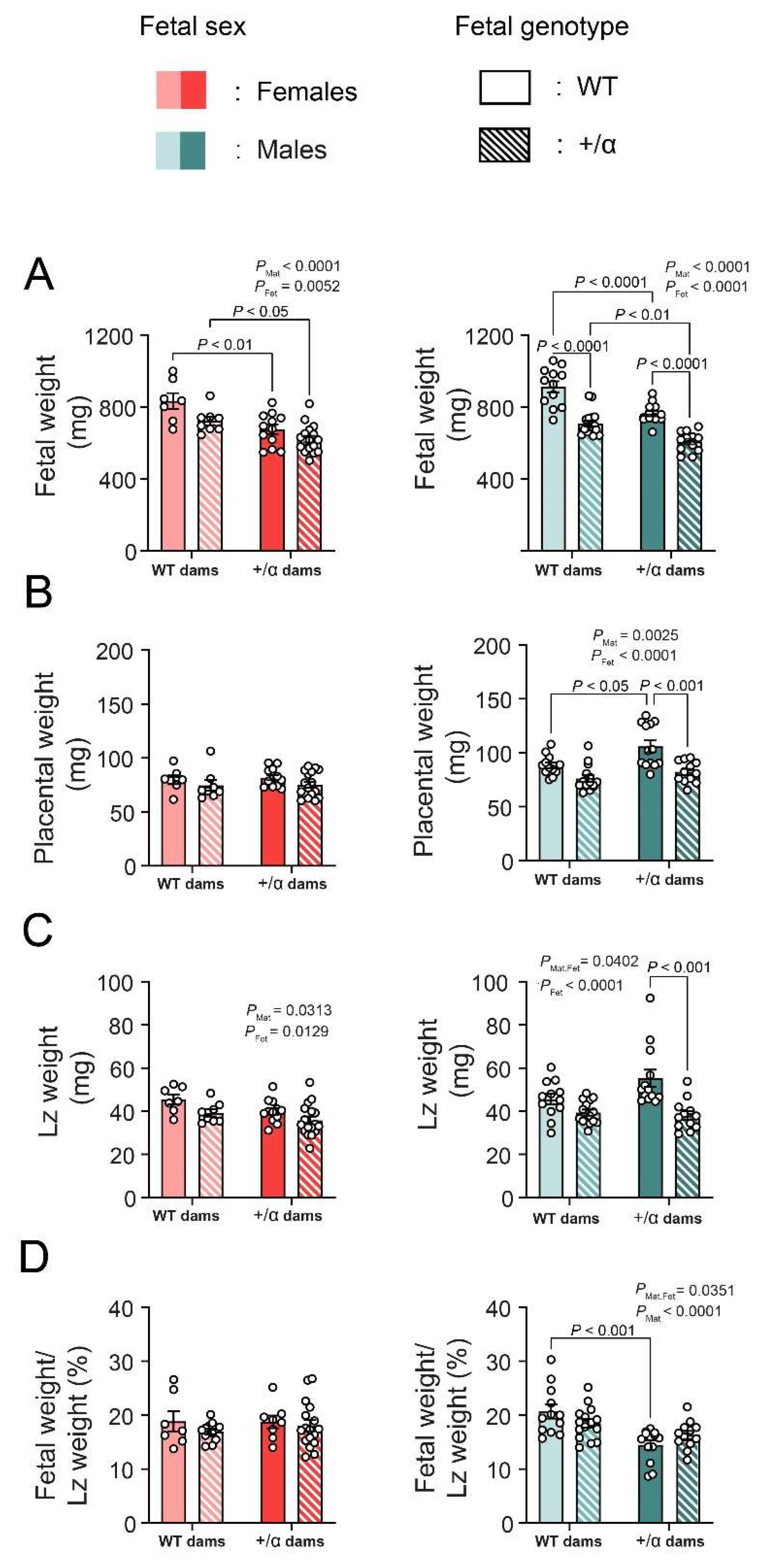 Vetsci 09 00501 g001