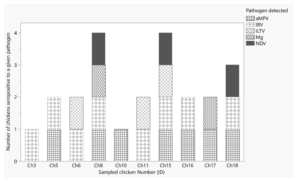Vetsci 09 00503 g001