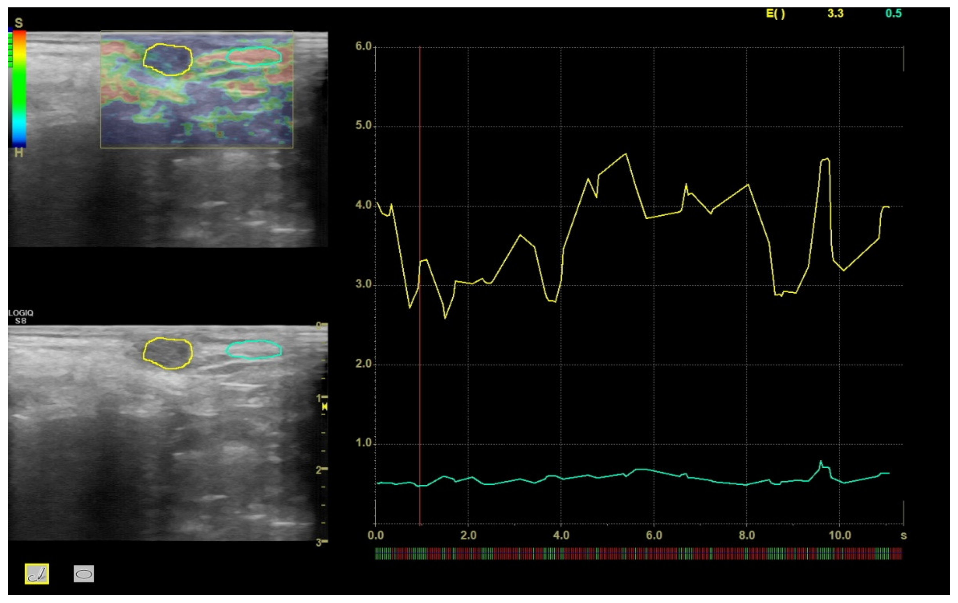 Vetsci 09 00506 g001