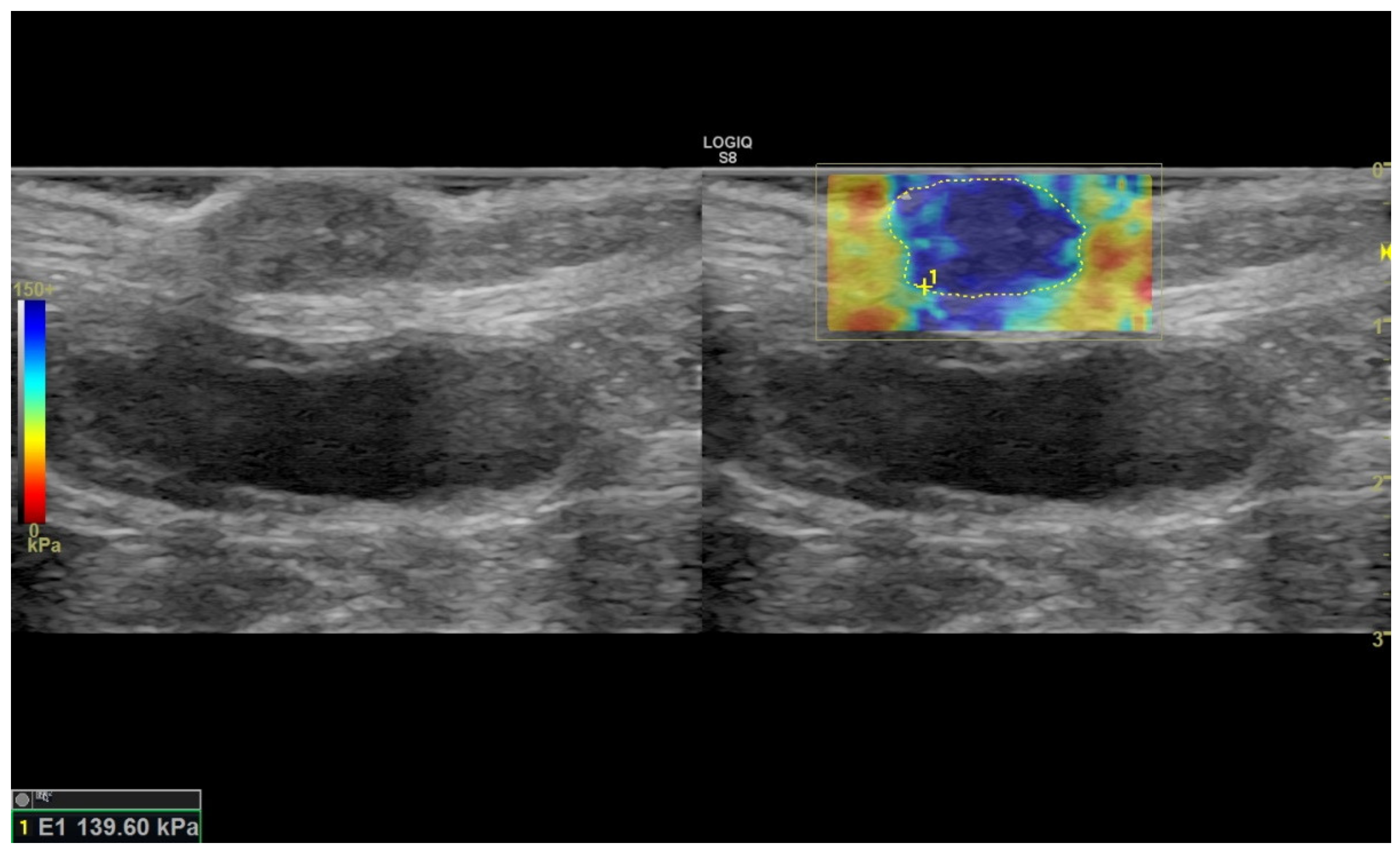 Vetsci 09 00506 g002