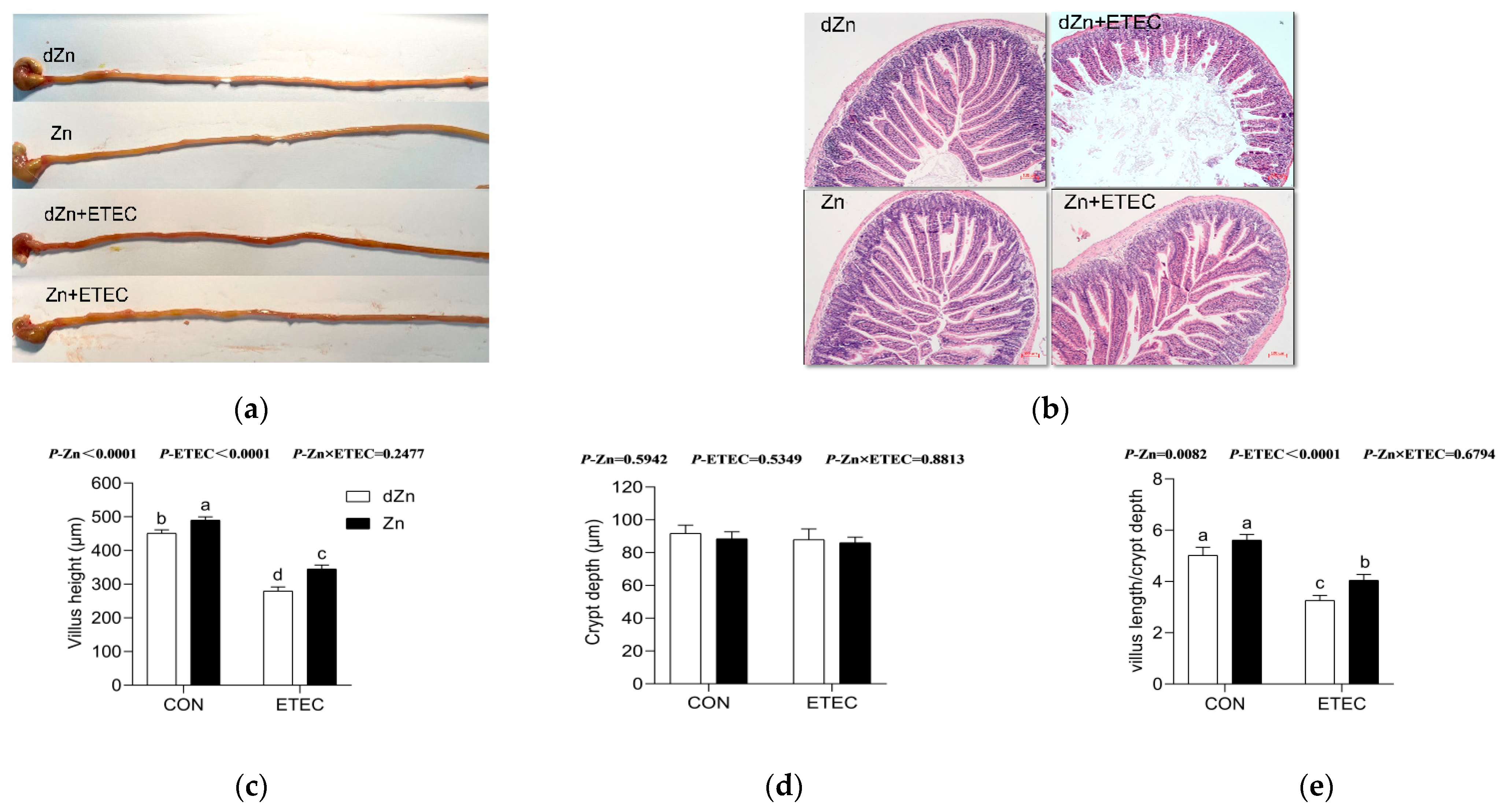 Vetsci 09 00507 g003