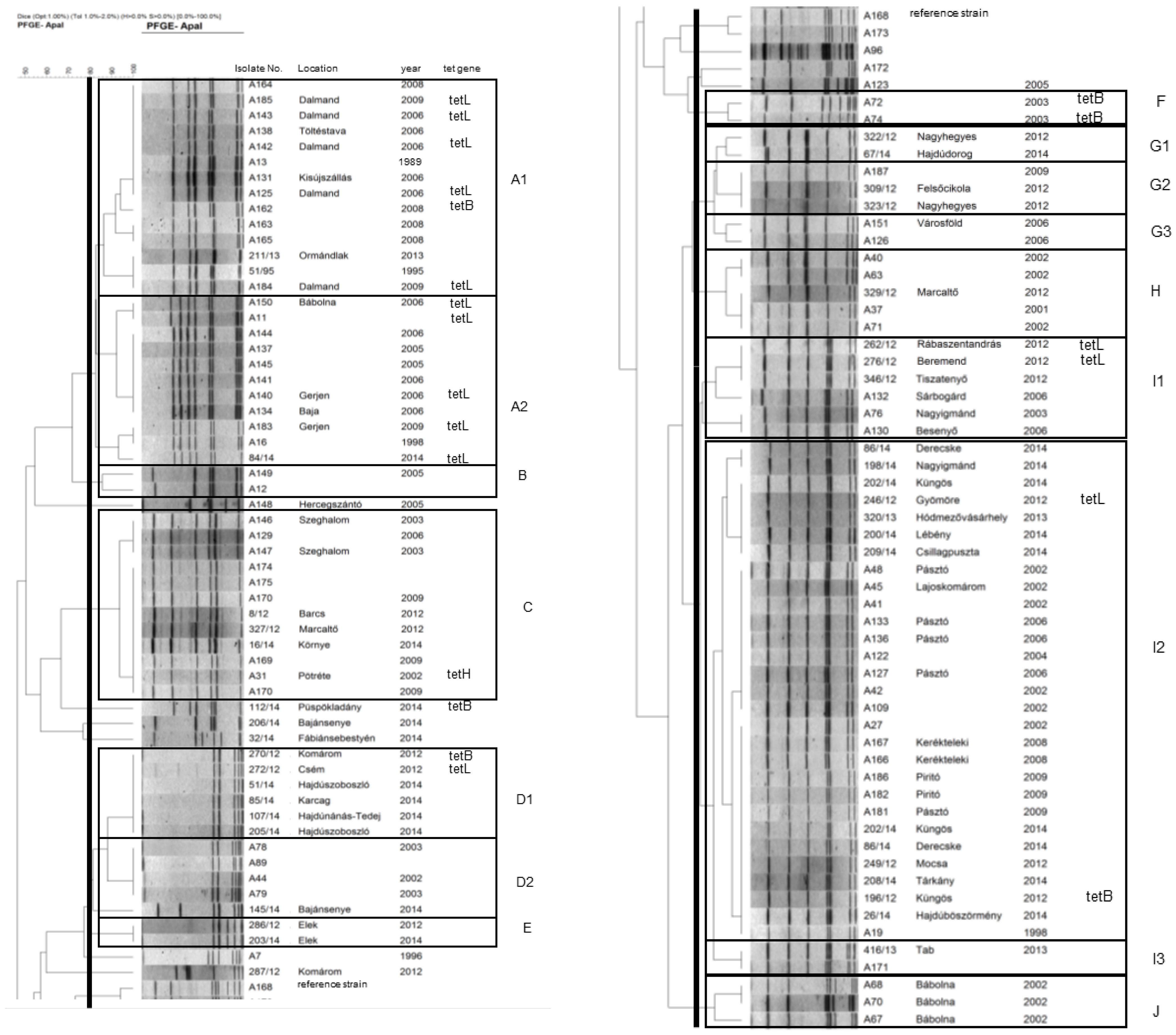 Vetsci 09 00511 g001 Vetsci 09 00511 g001