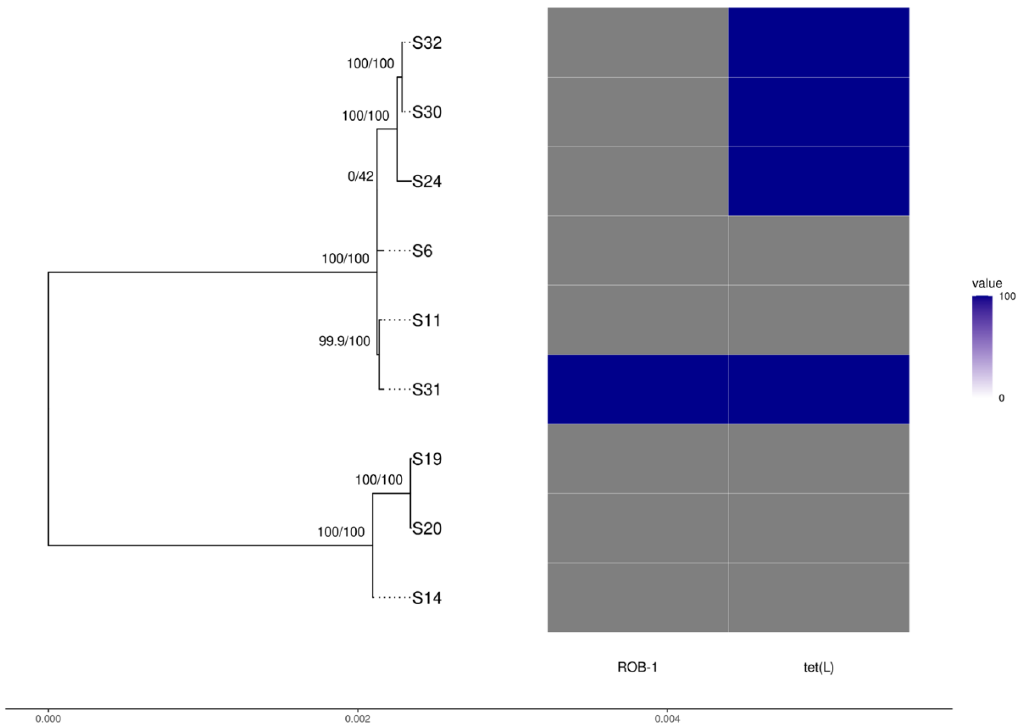 Vetsci 09 00511 g002 Vetsci 09 00511 g002